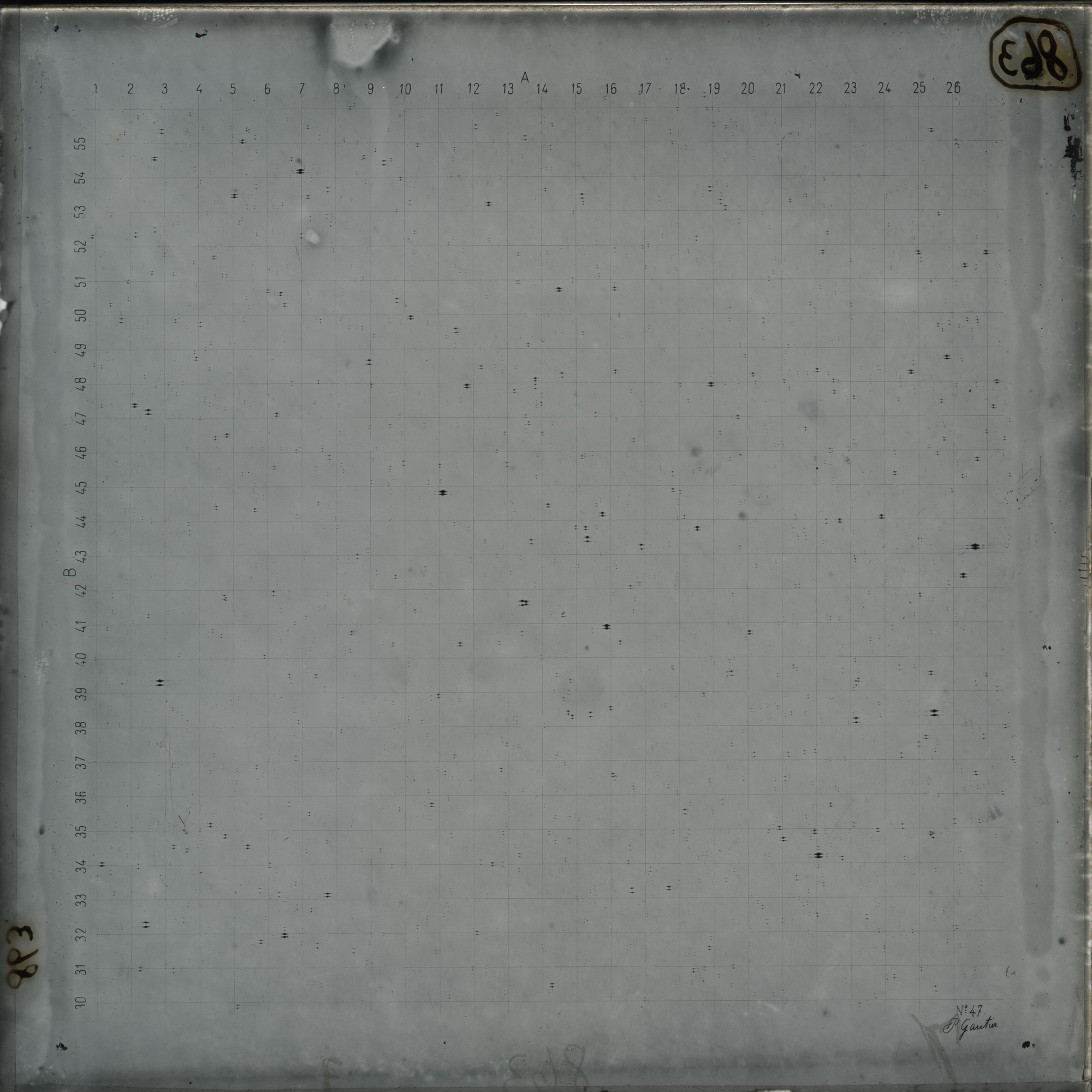 Plate preview