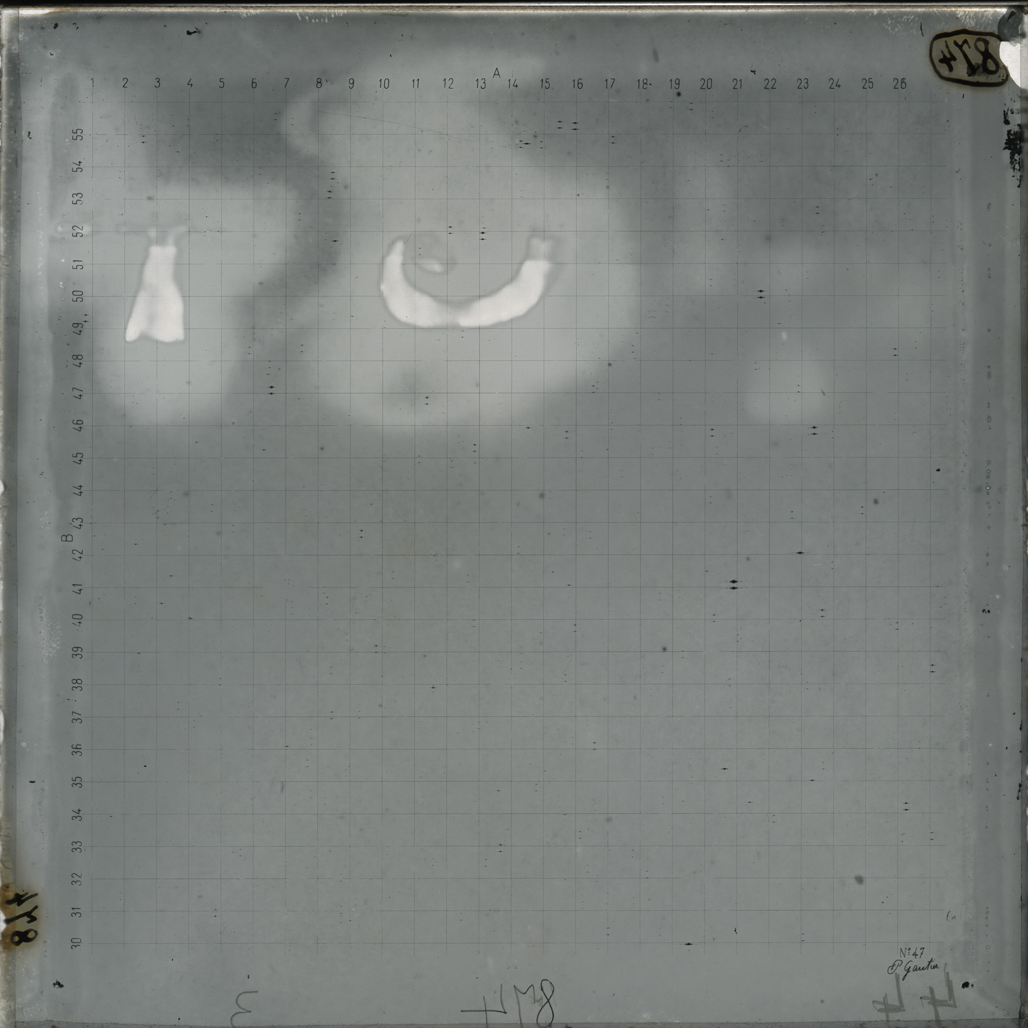 Plate preview