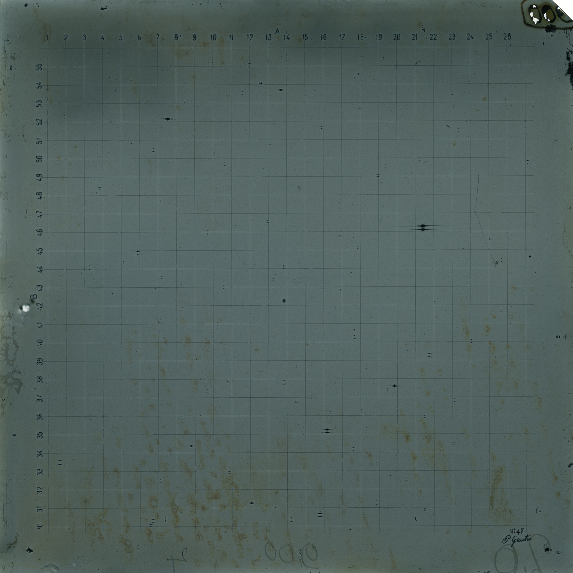 Plate preview