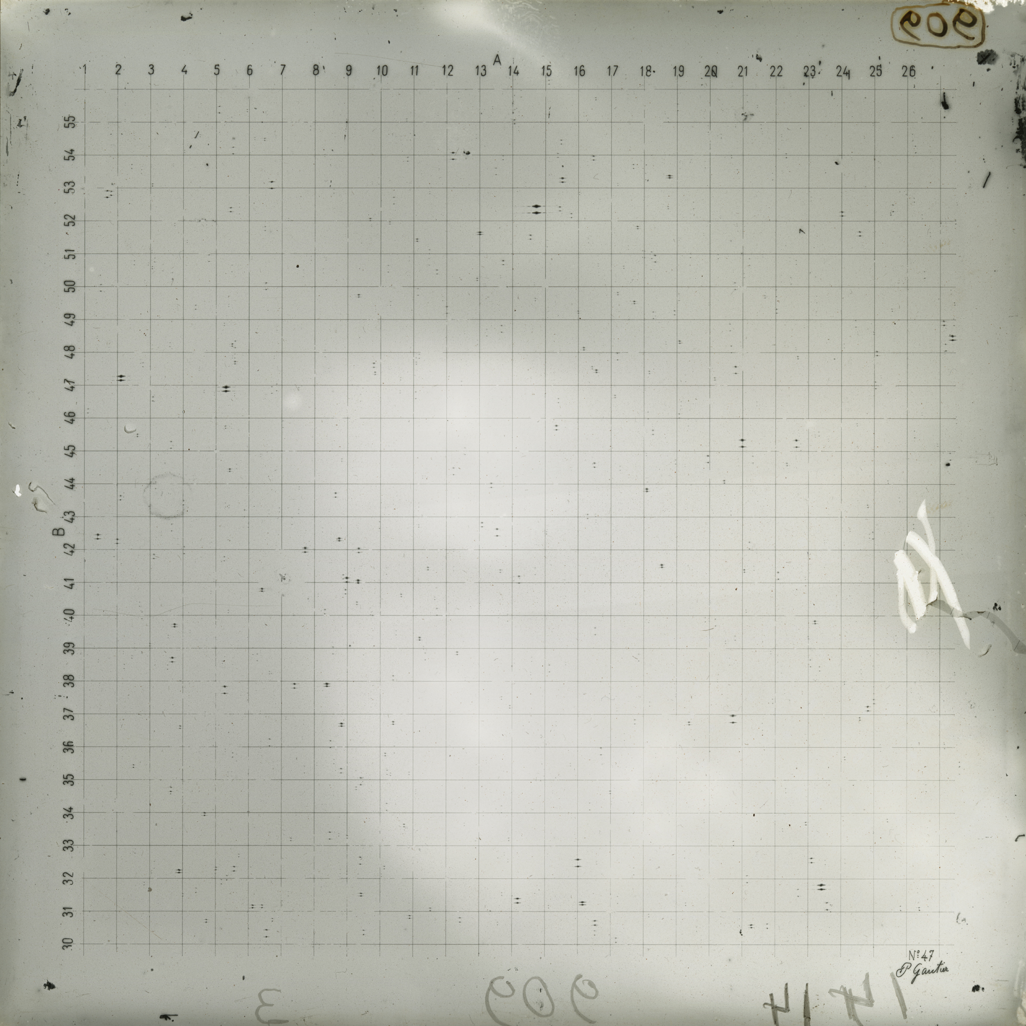 Plate preview