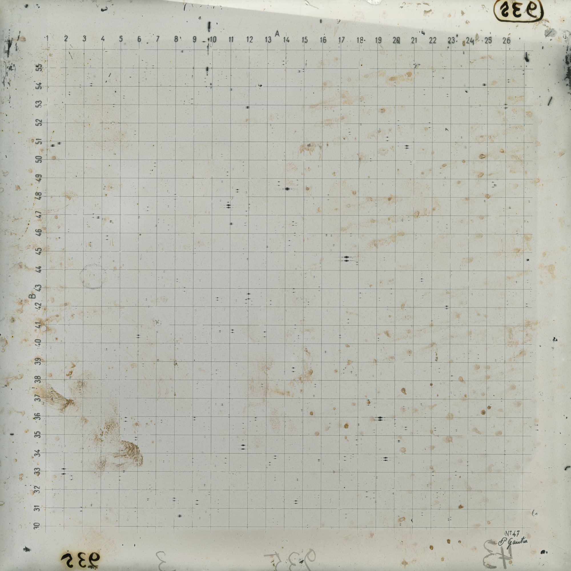 Plate preview