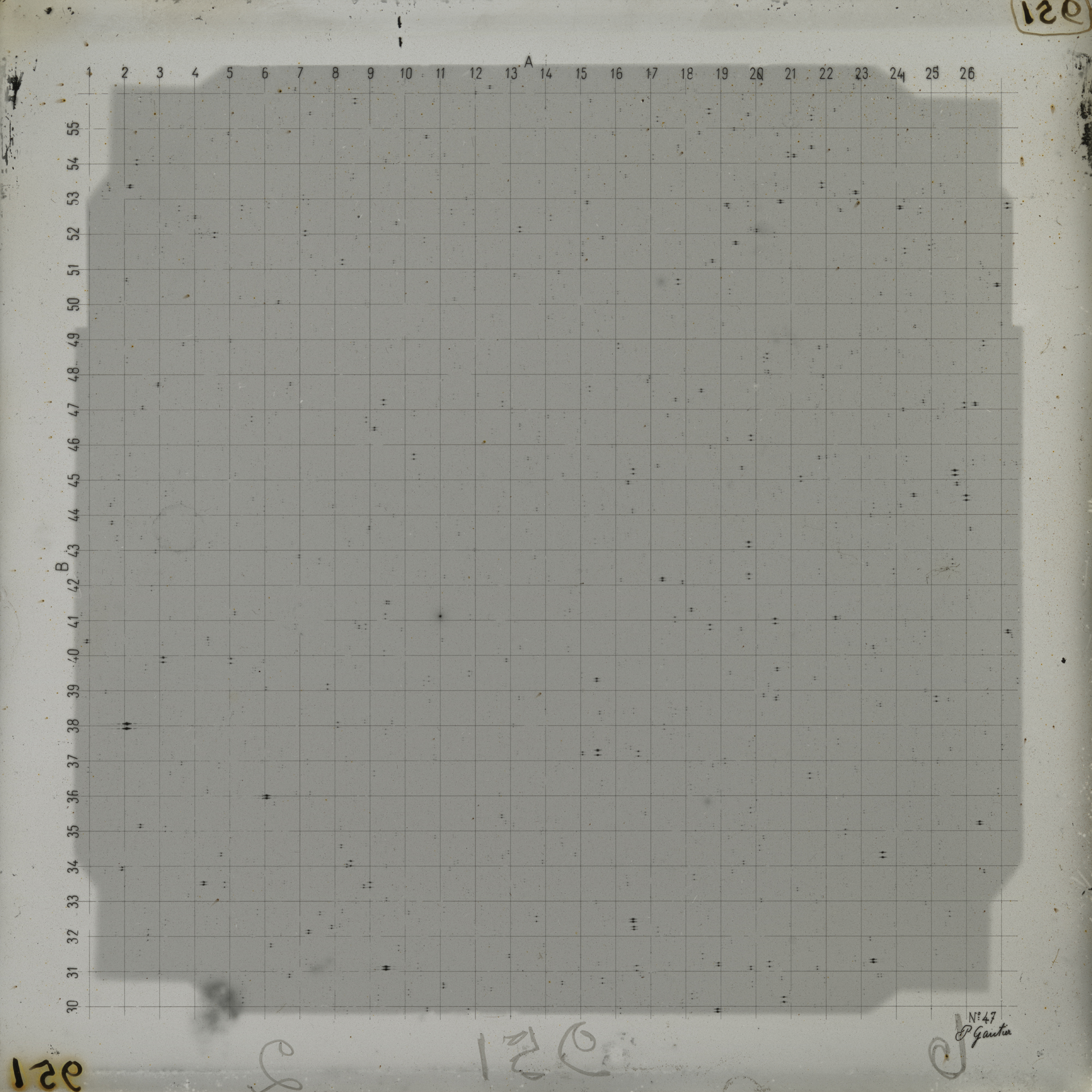 Plate preview