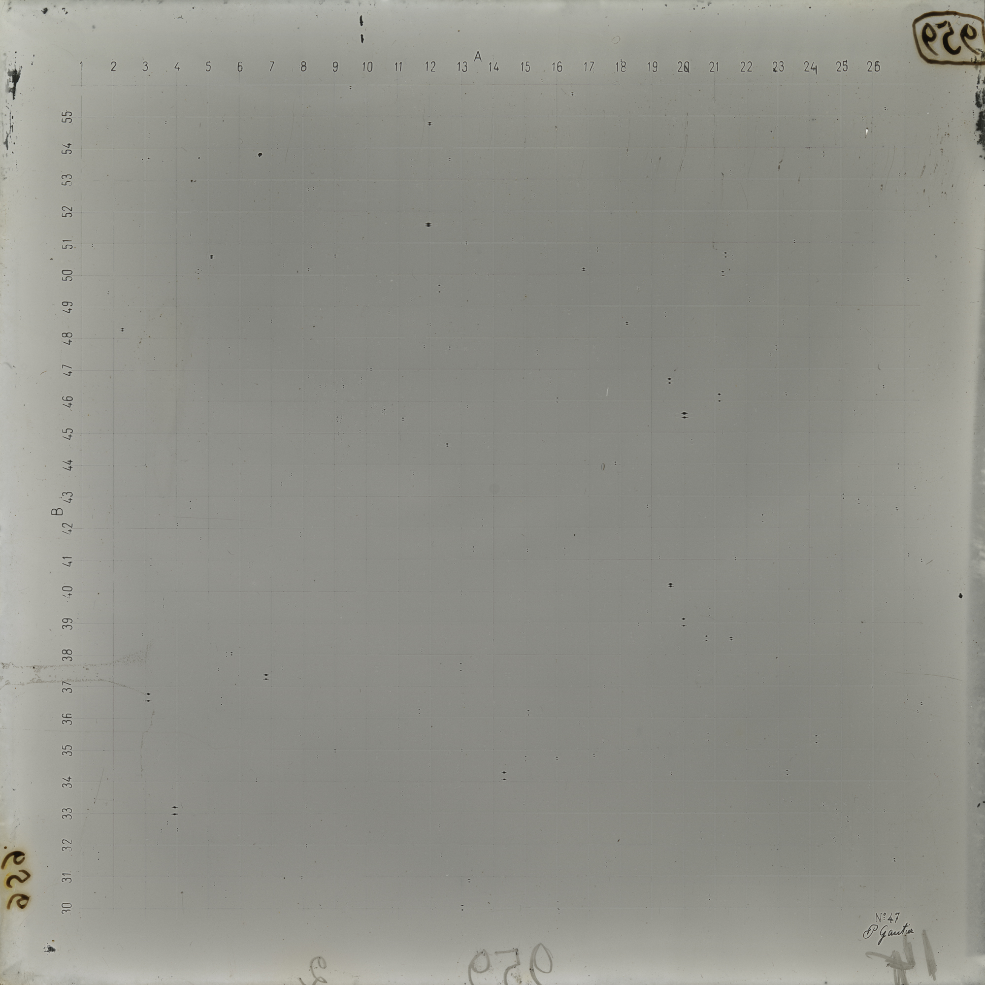 Plate preview