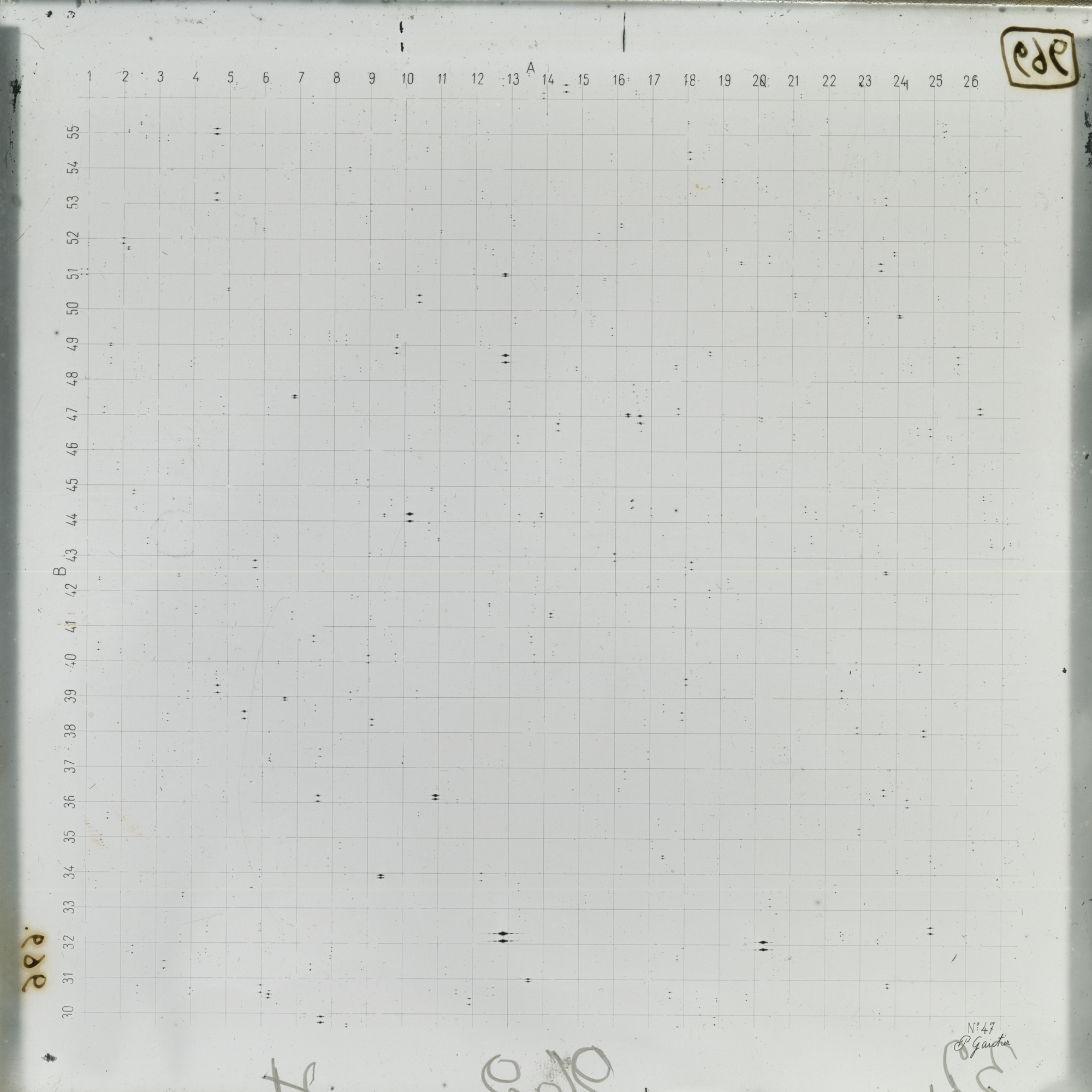 Plate preview