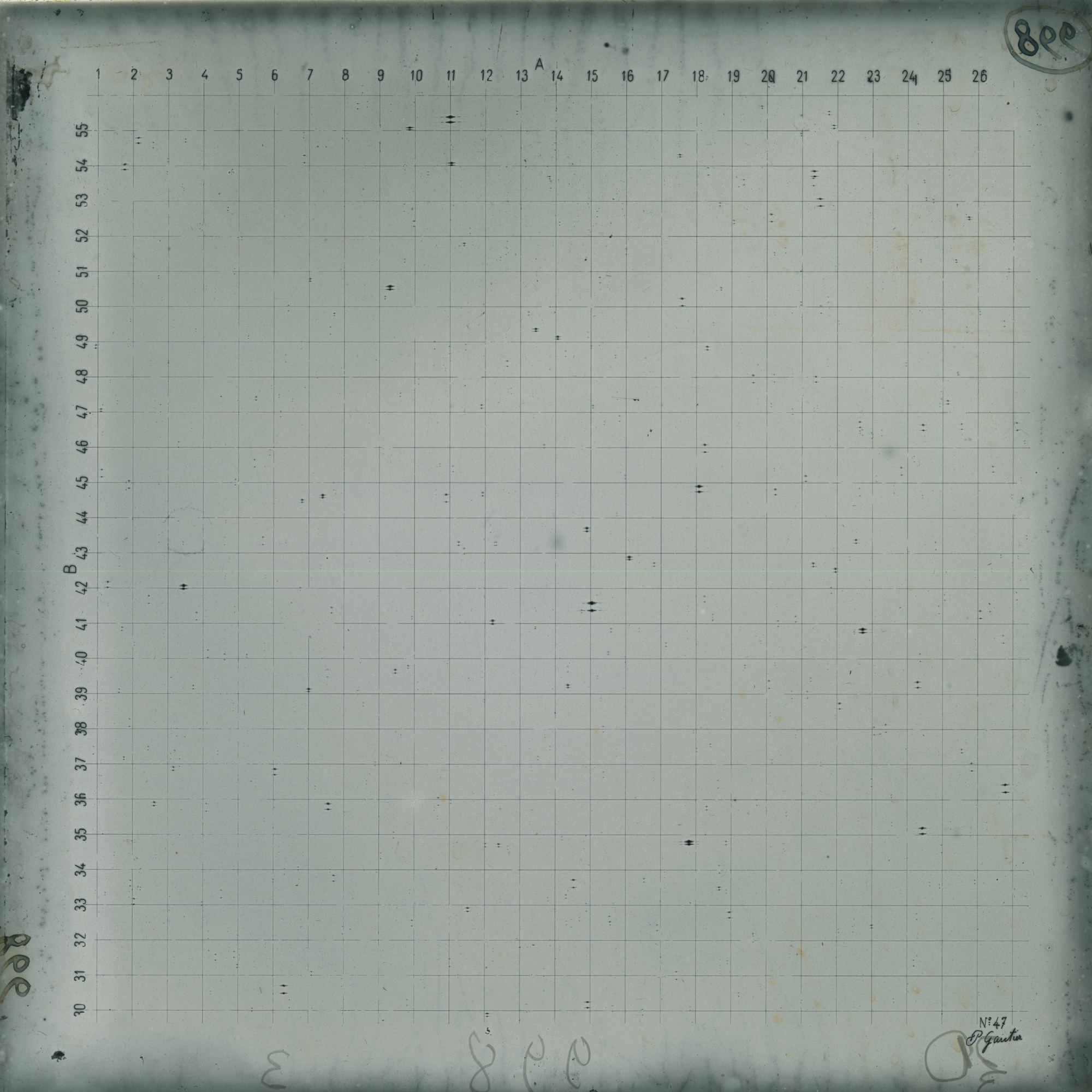 Plate preview