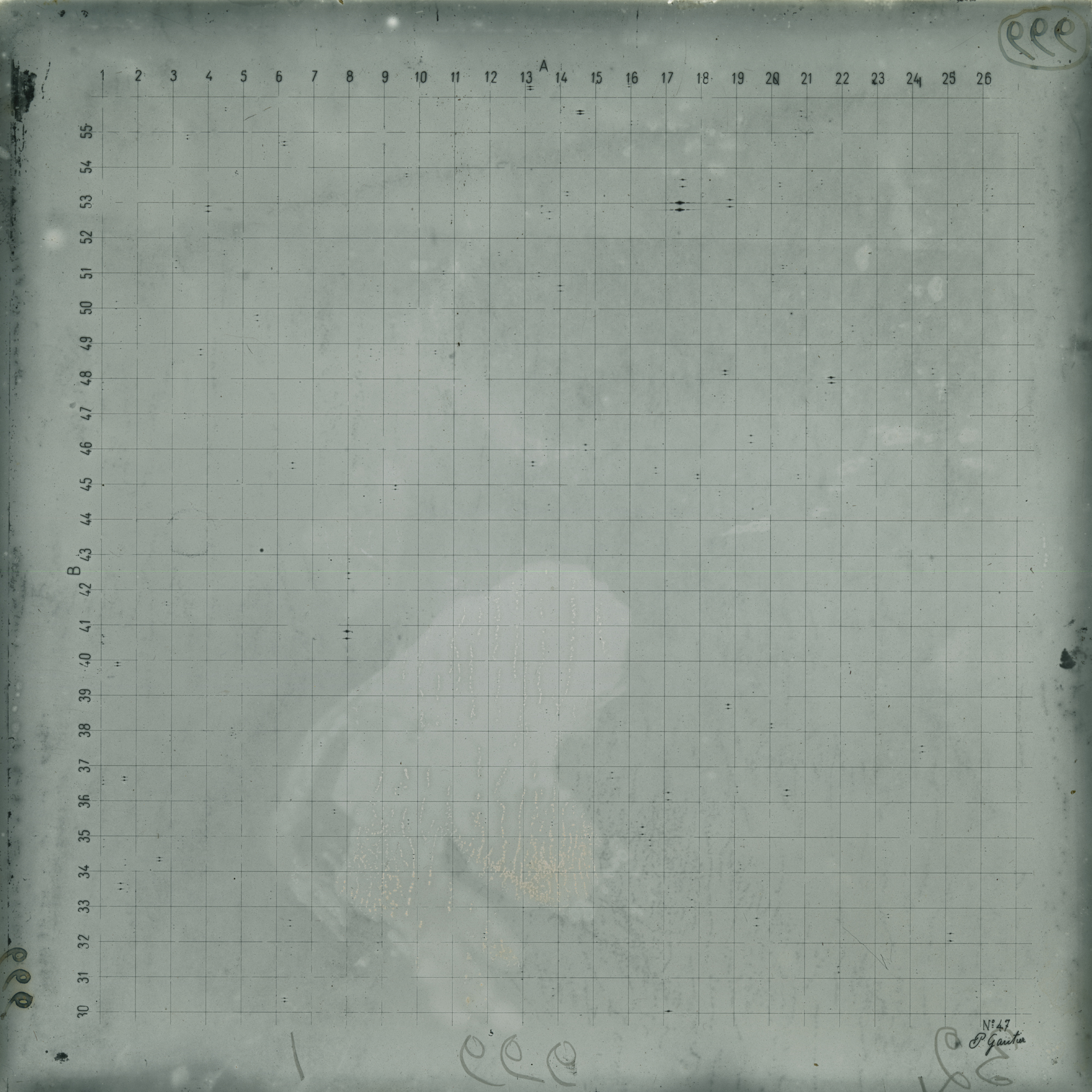 Plate preview