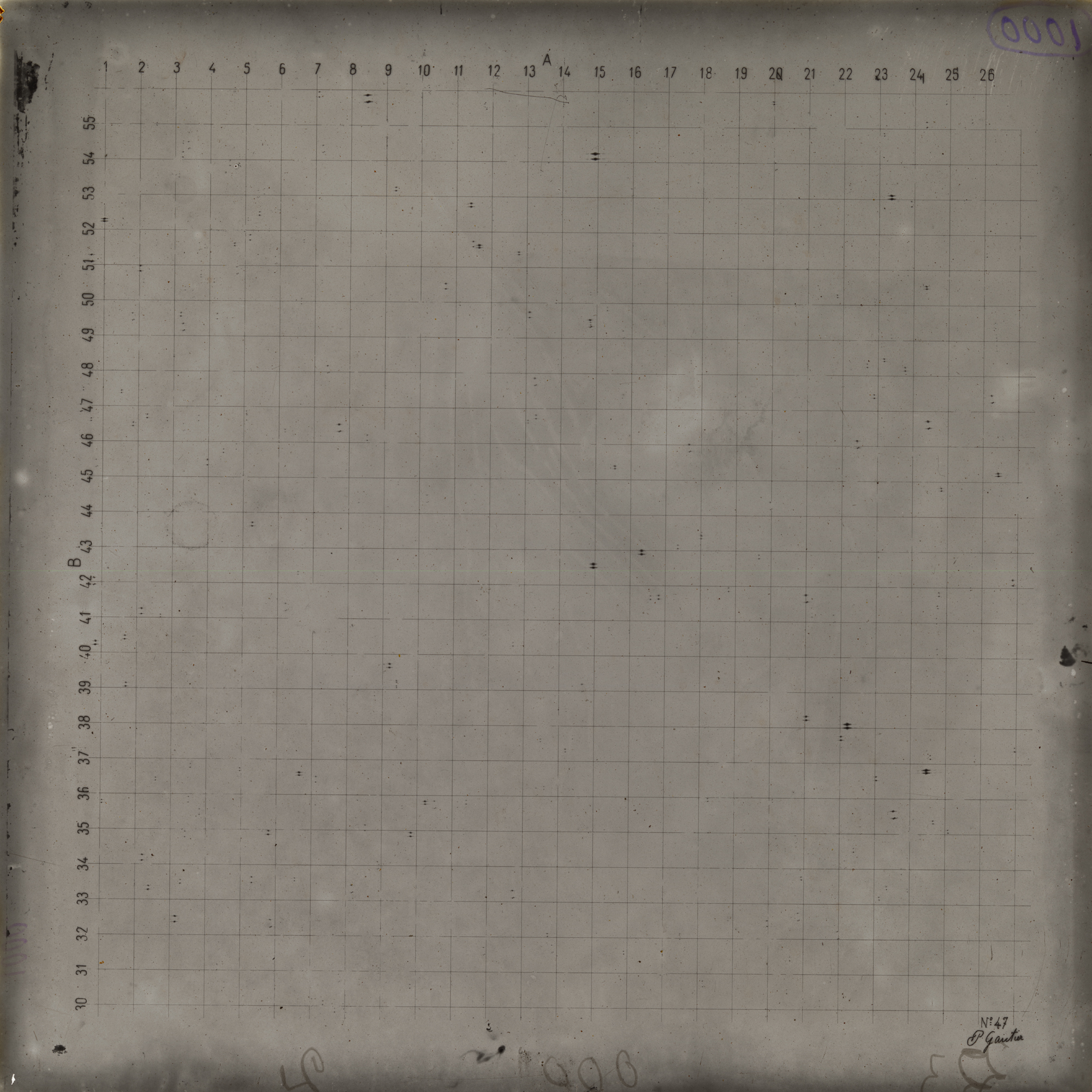 Plate preview