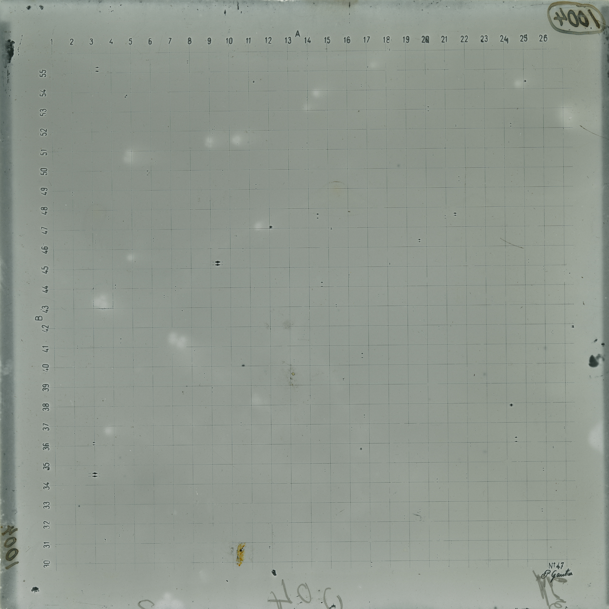 Plate preview