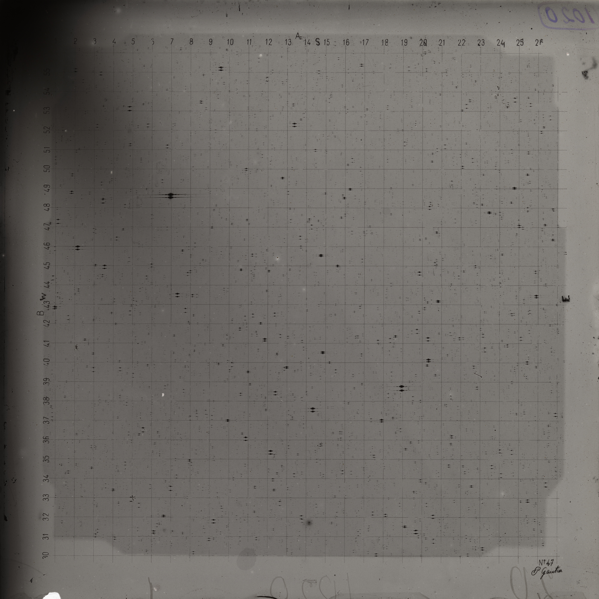 Plate preview