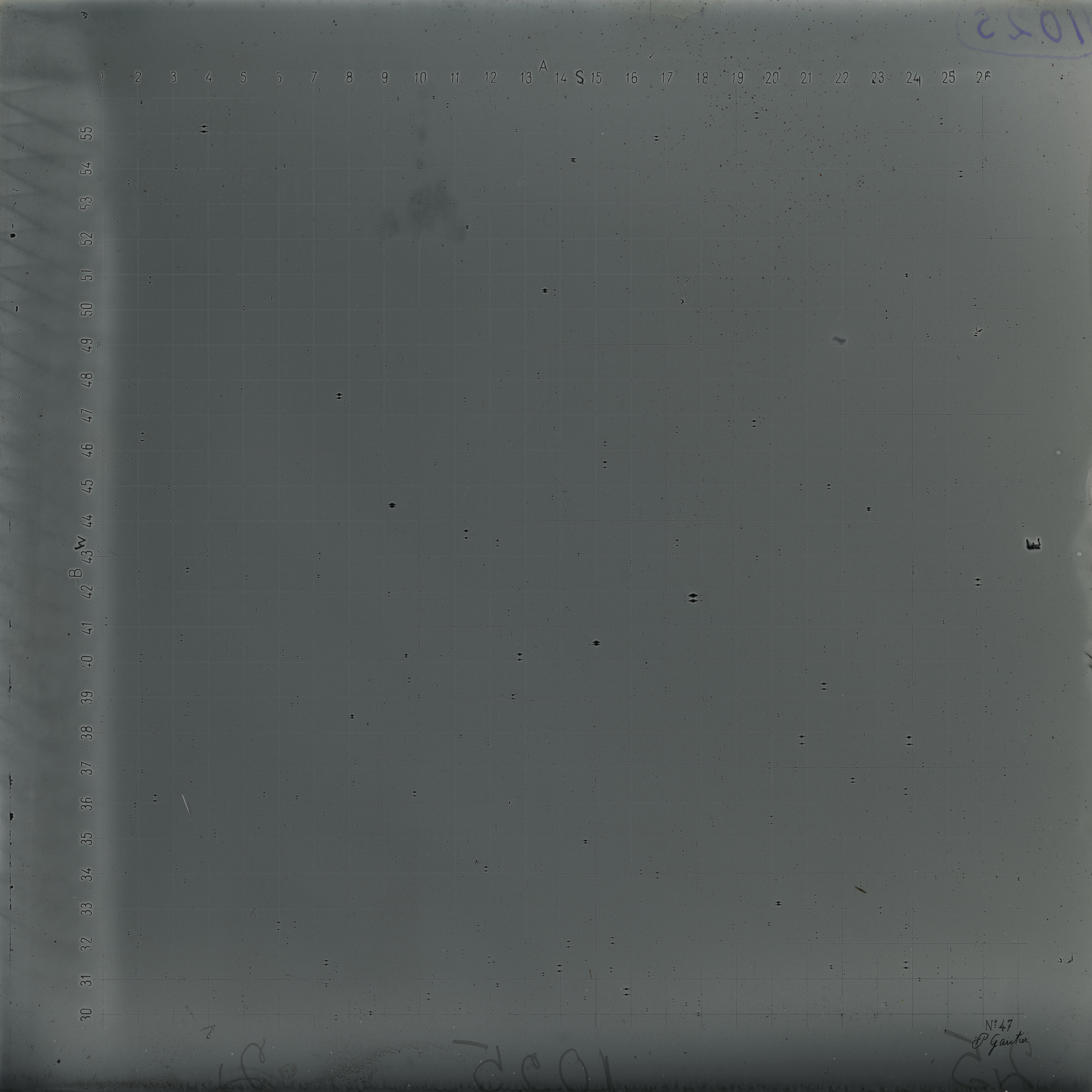 Plate preview