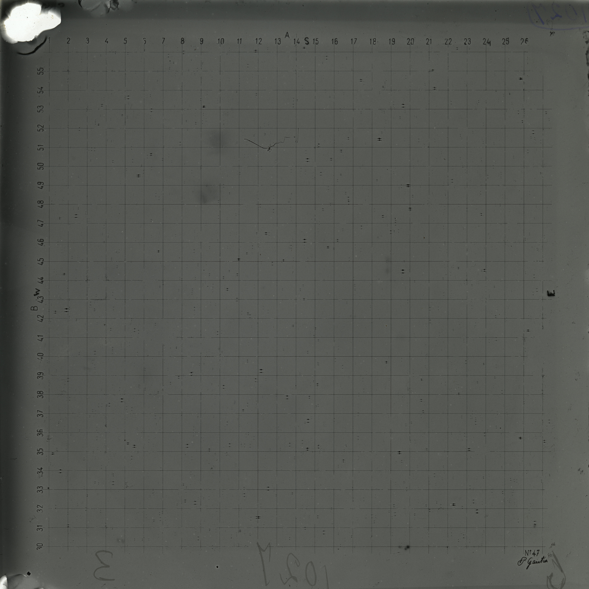 Plate preview