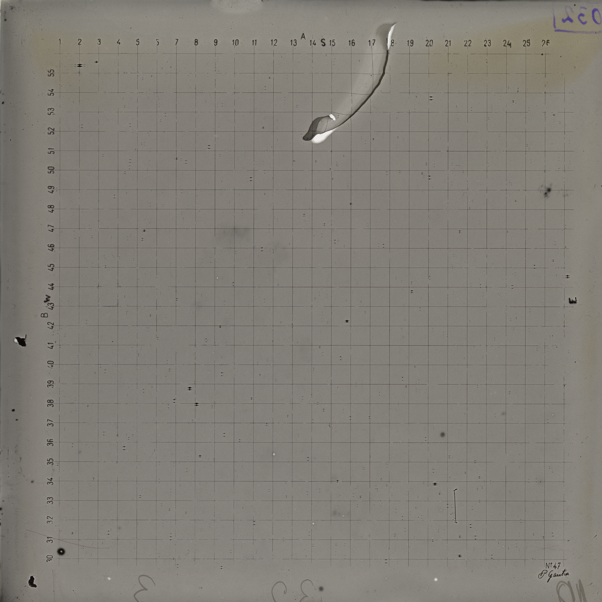 Plate preview