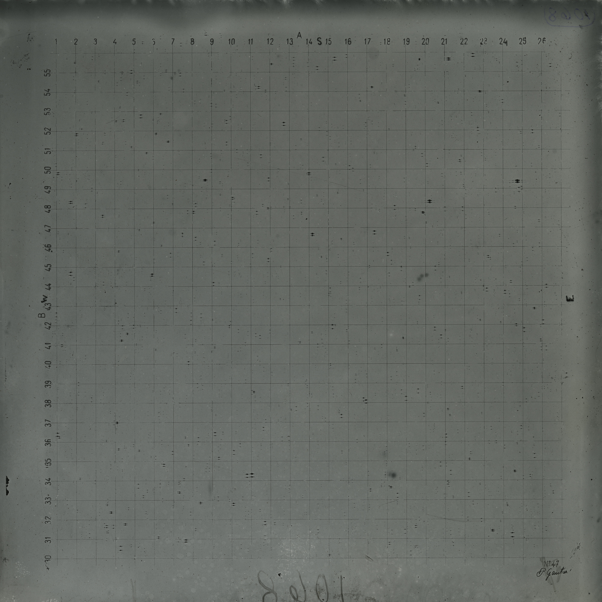 Plate preview