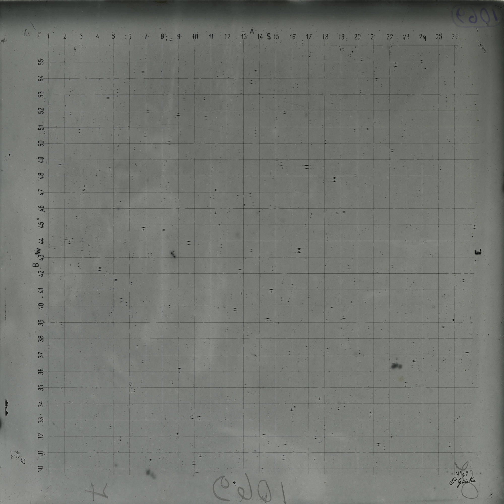 Plate preview