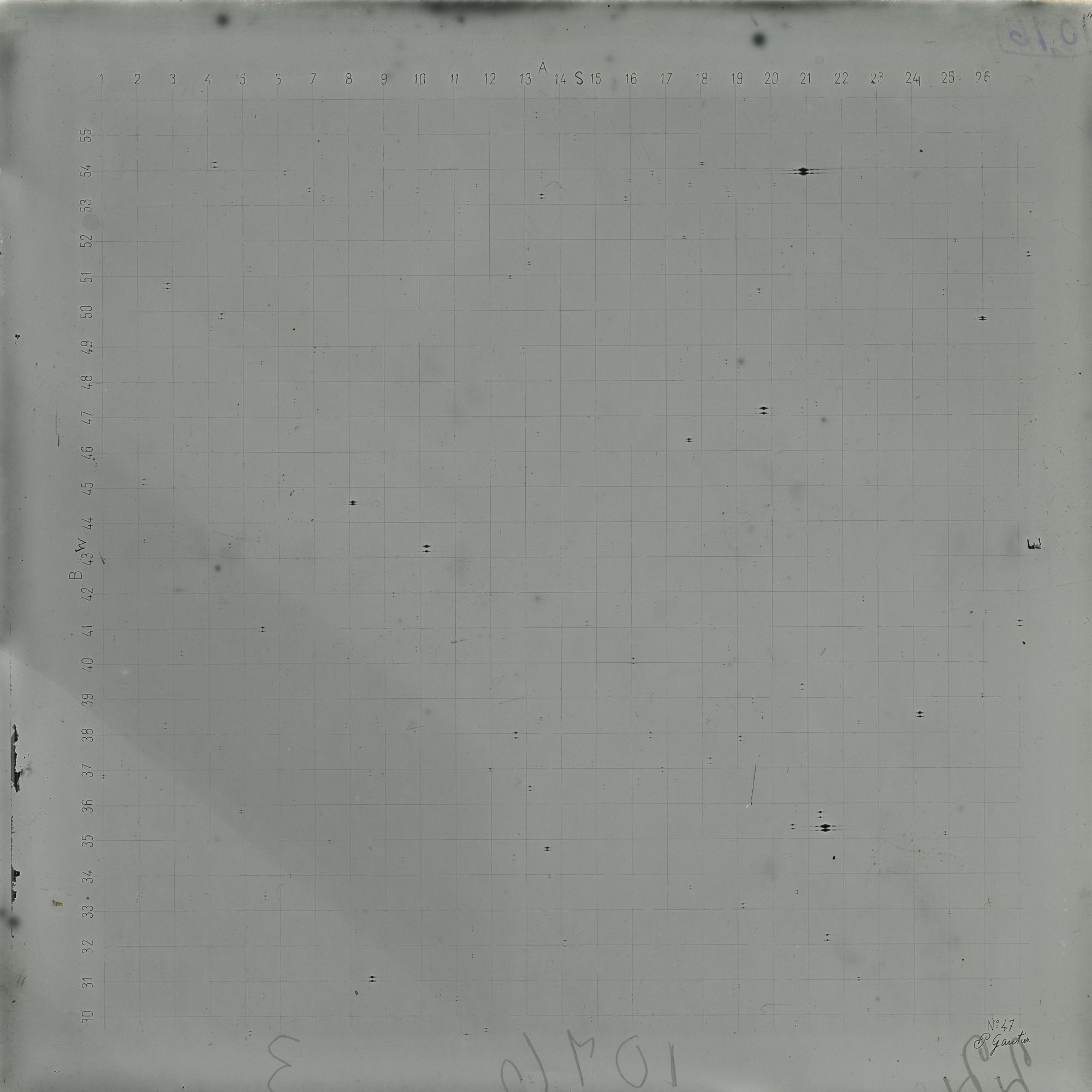 Plate preview