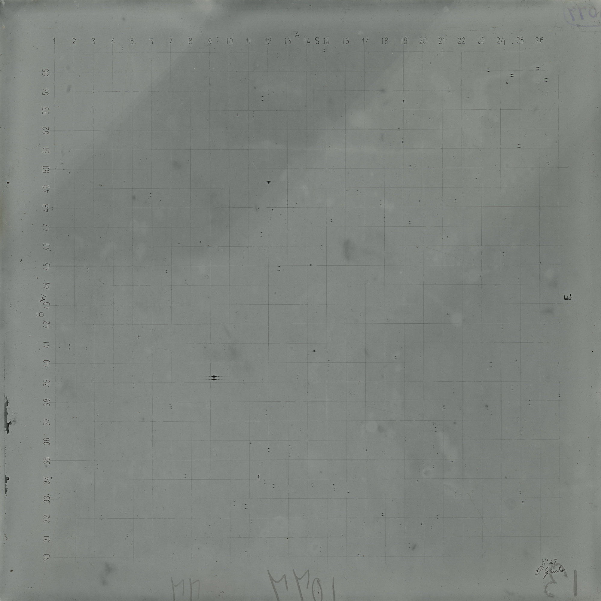 Plate preview