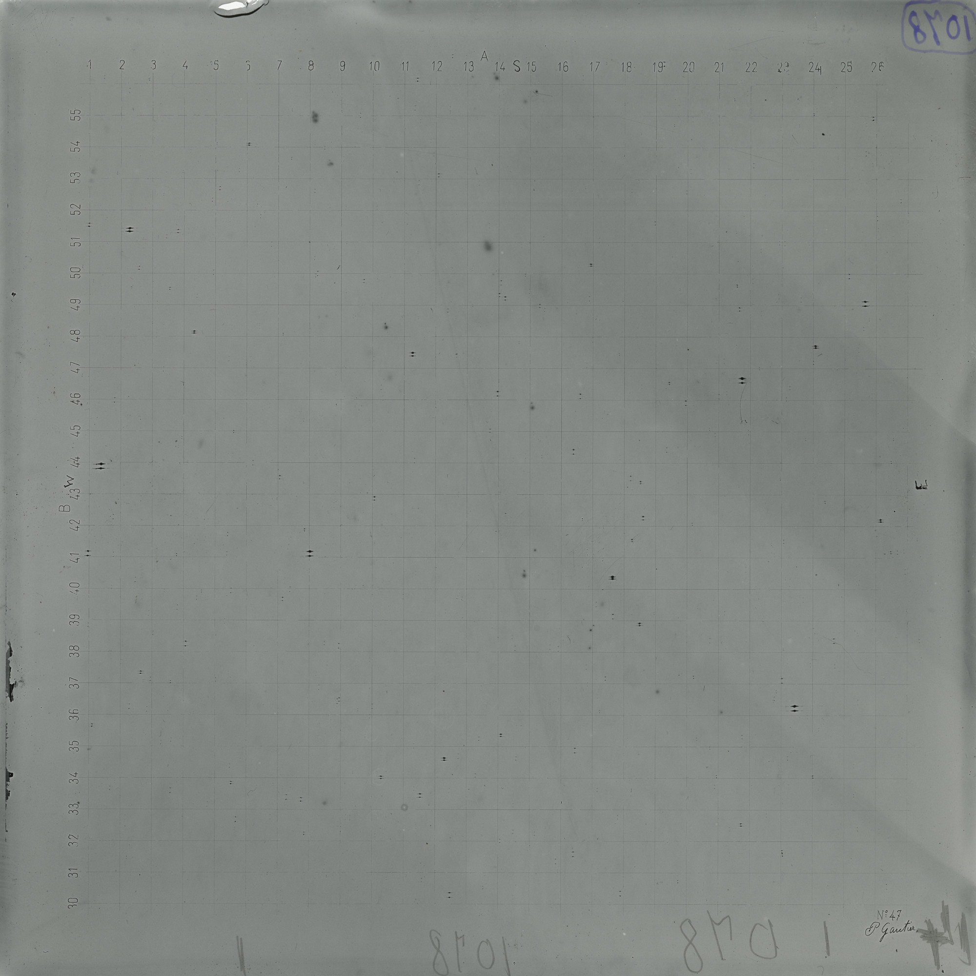 Plate preview