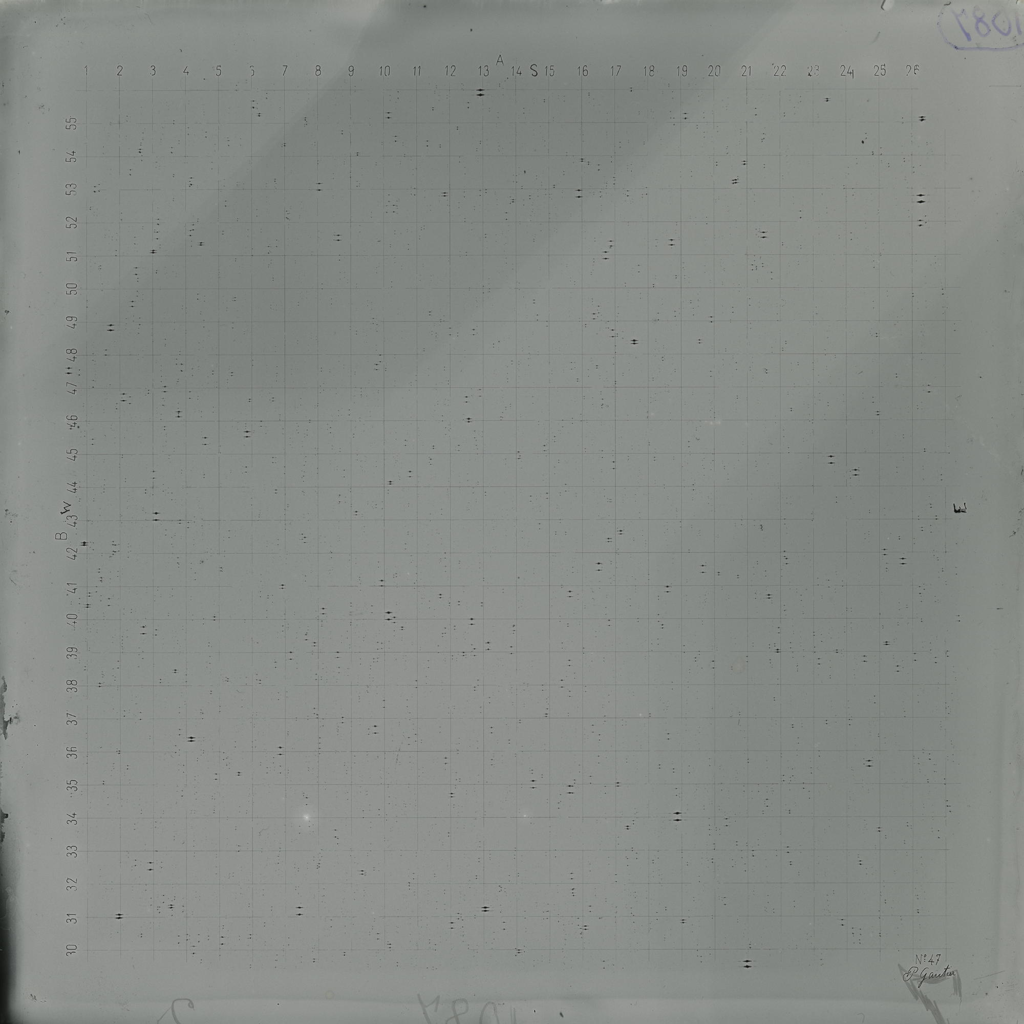 Plate preview