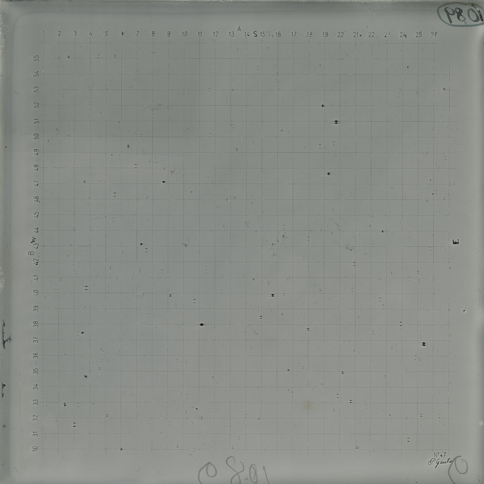 Plate preview