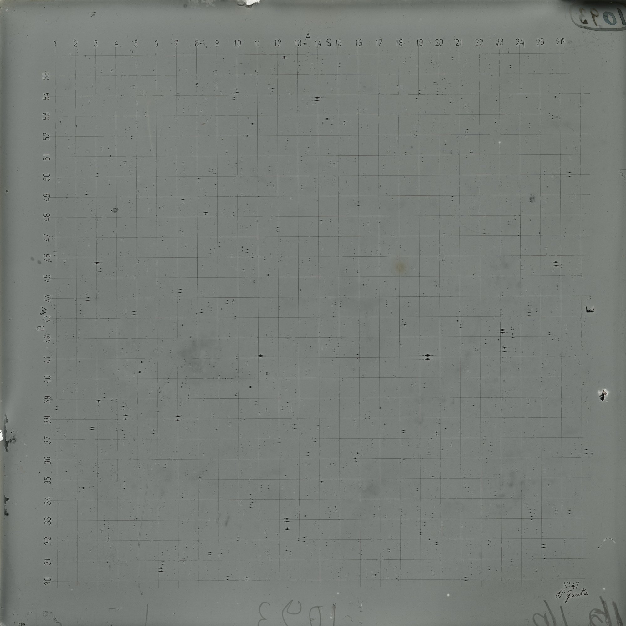 Plate preview