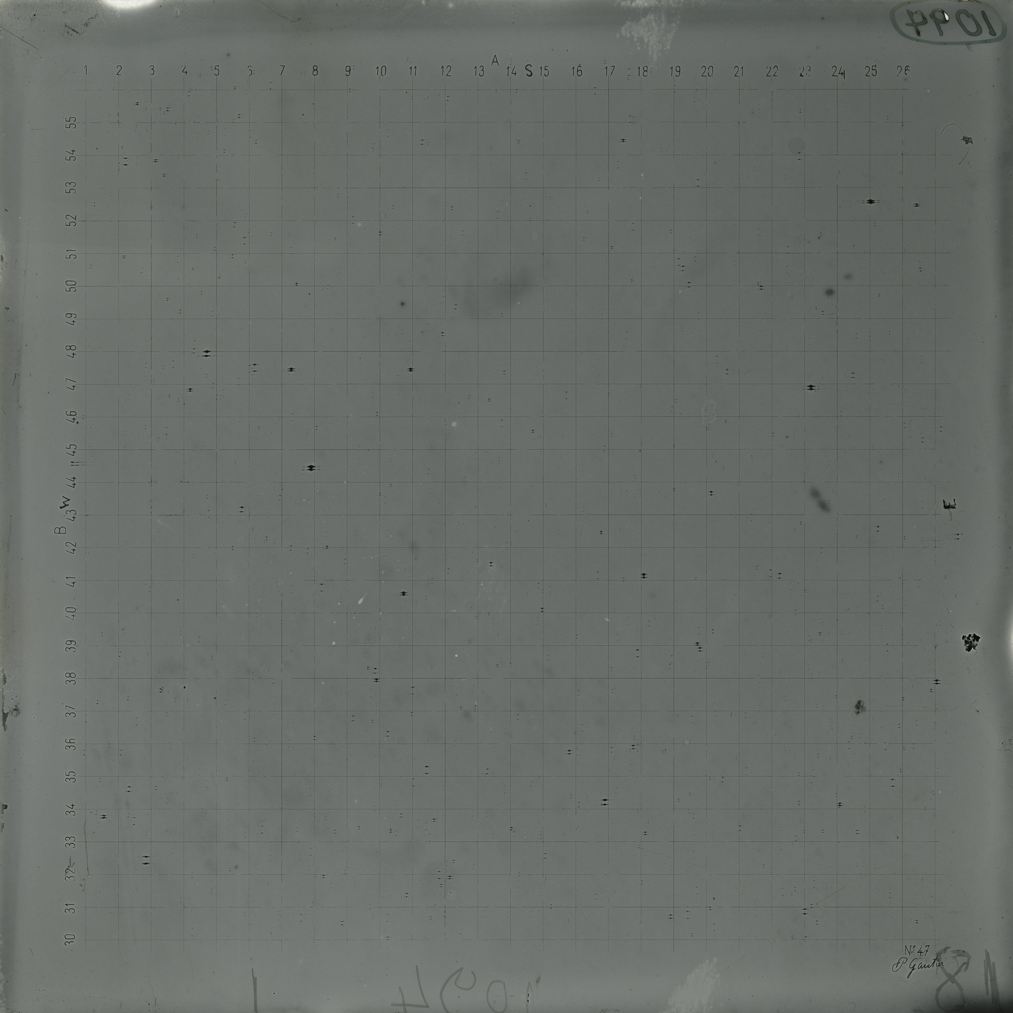 Plate preview
