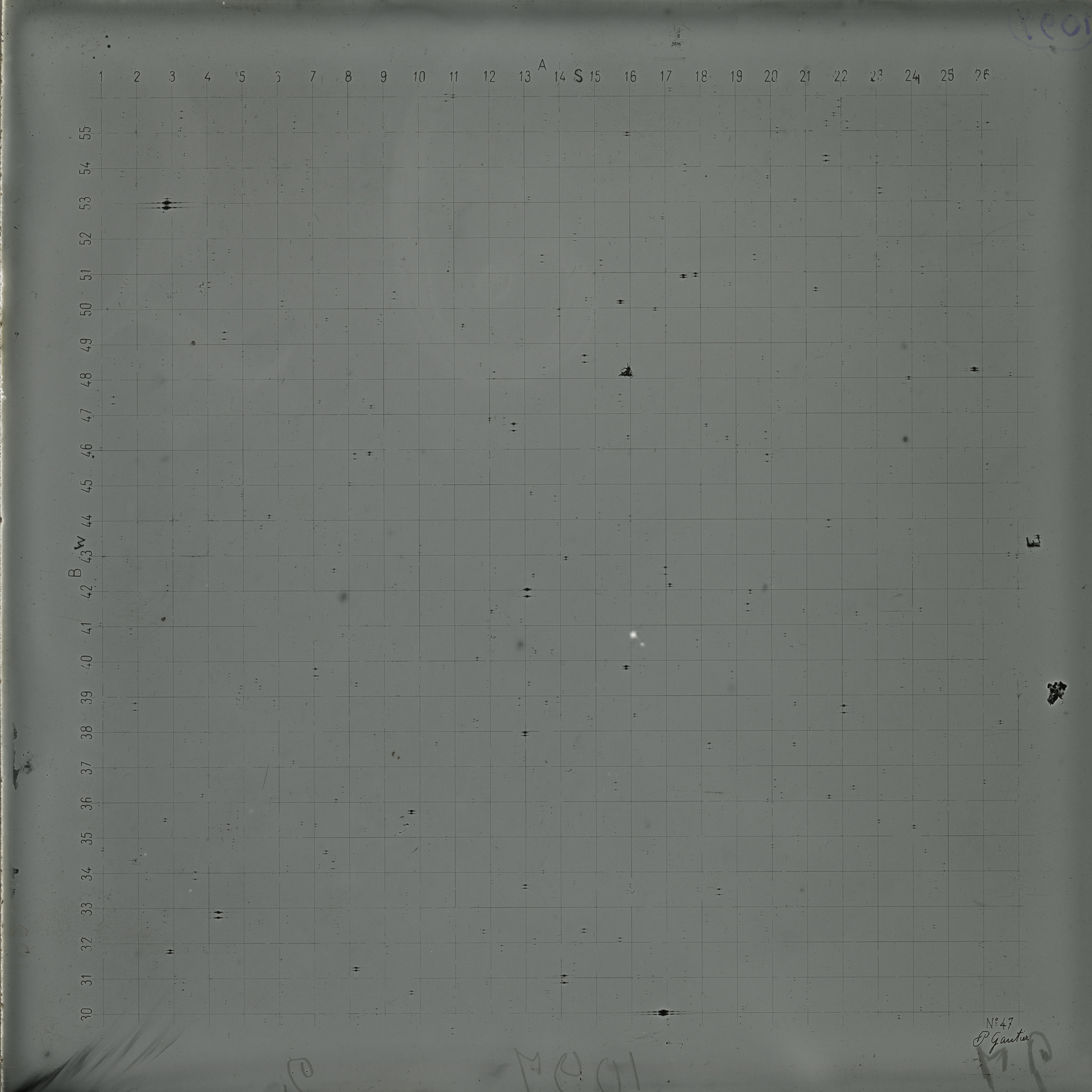 Plate preview