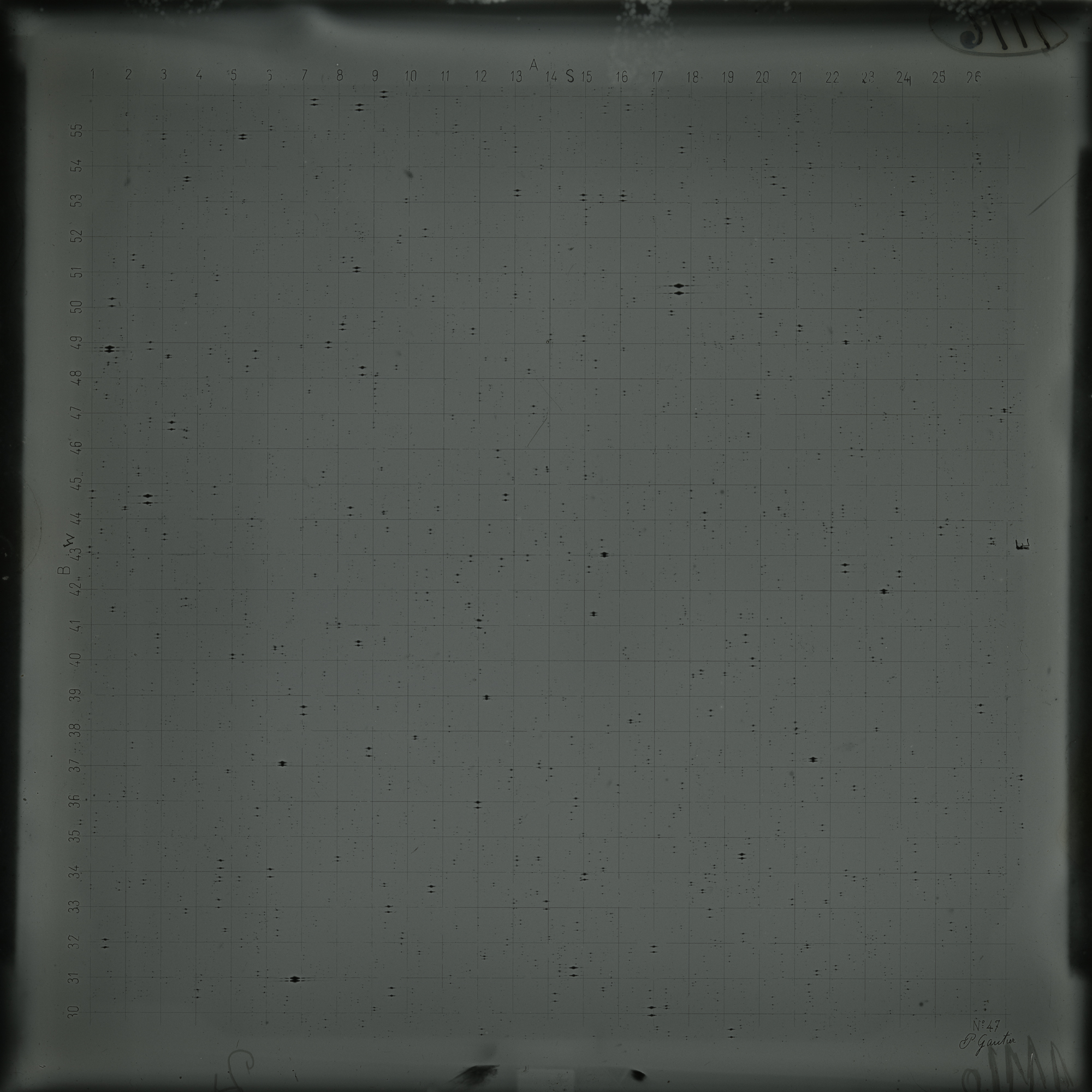 Plate preview