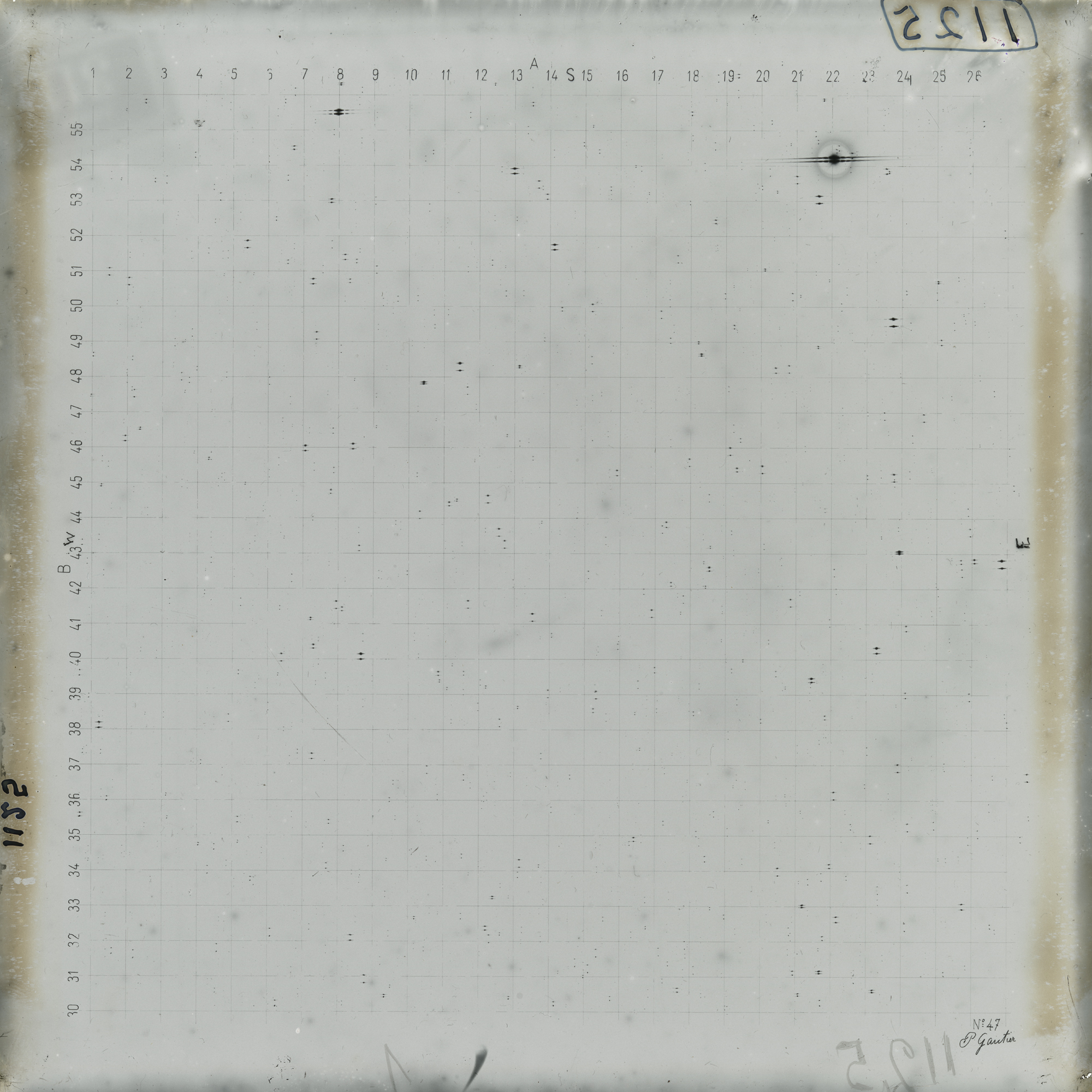 Plate preview