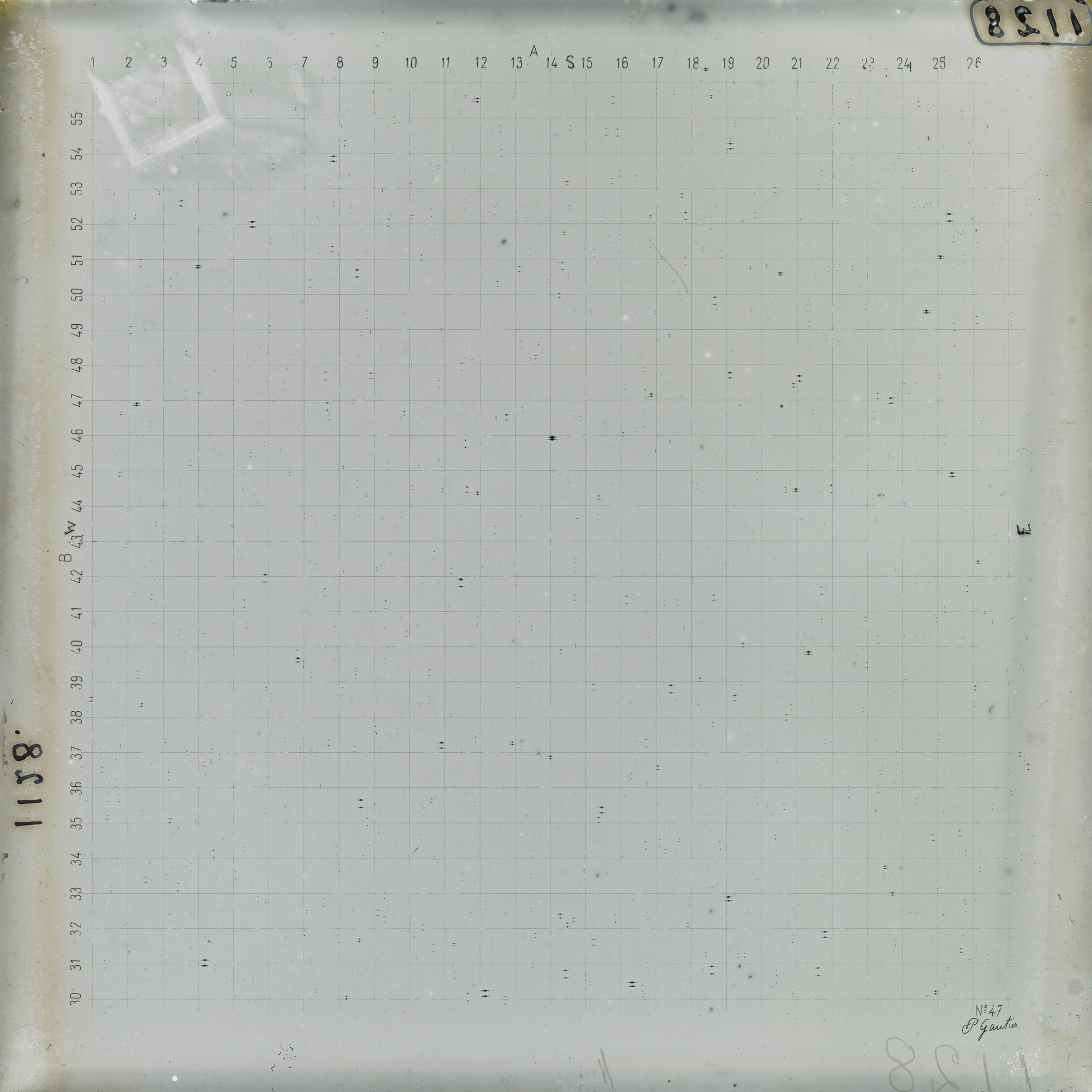 Plate preview