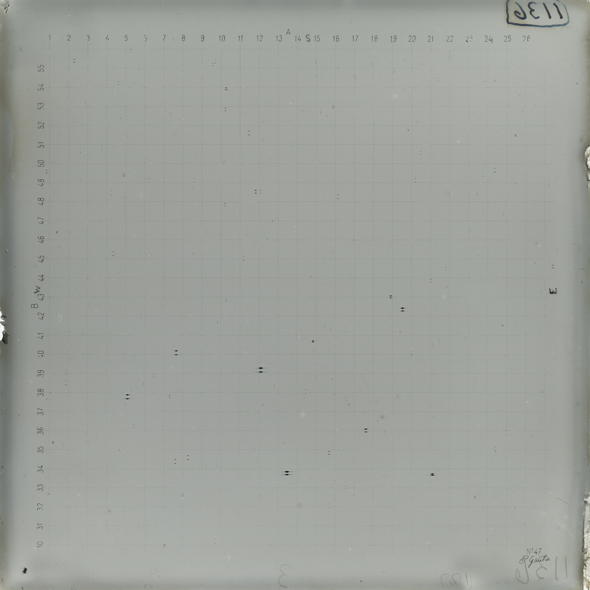 Plate preview
