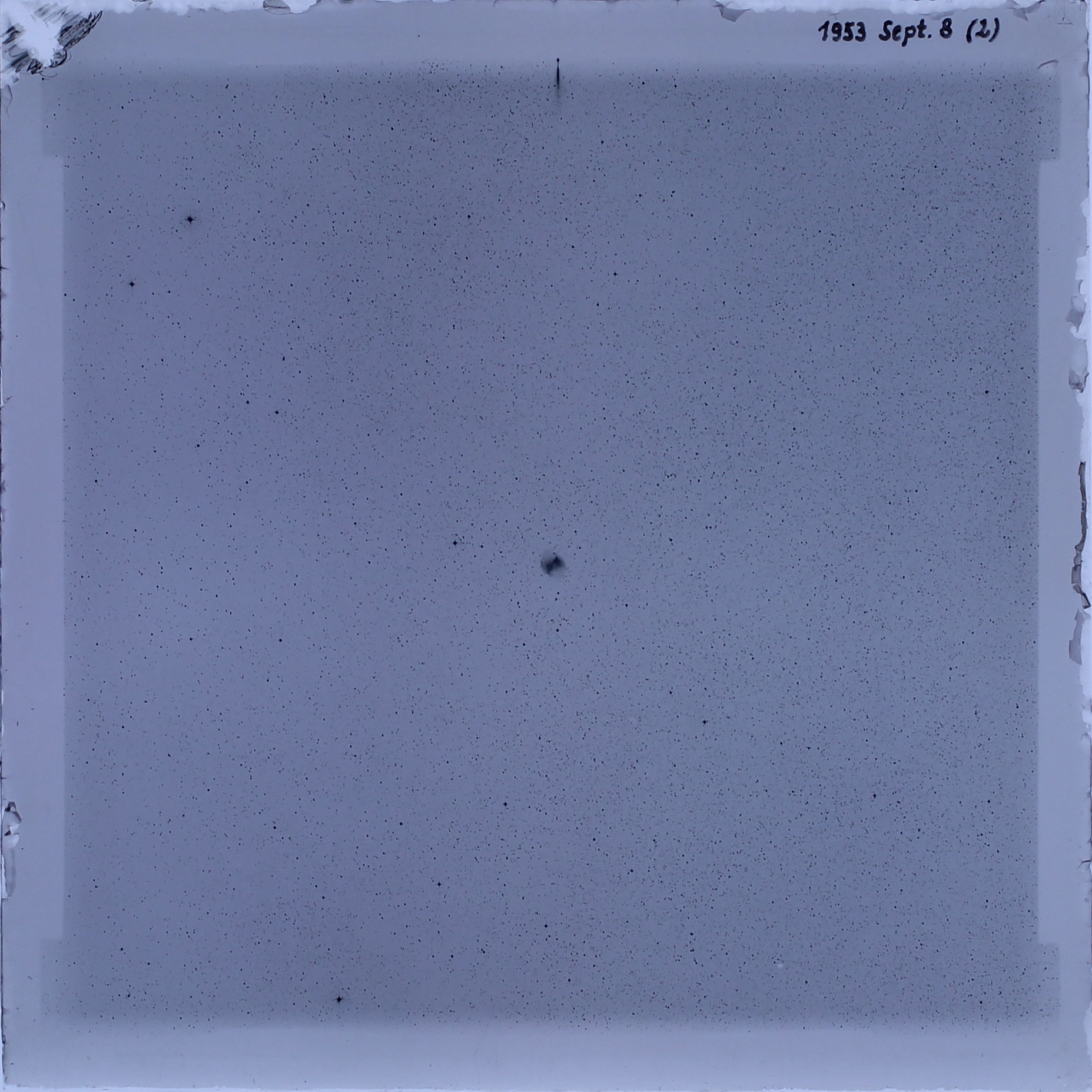 Plate preview