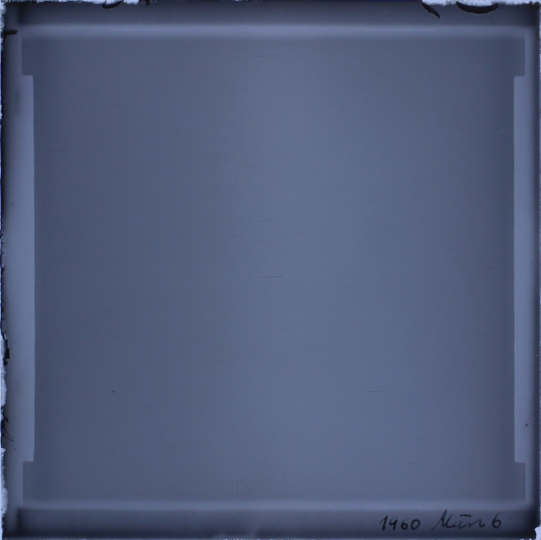 Plate preview