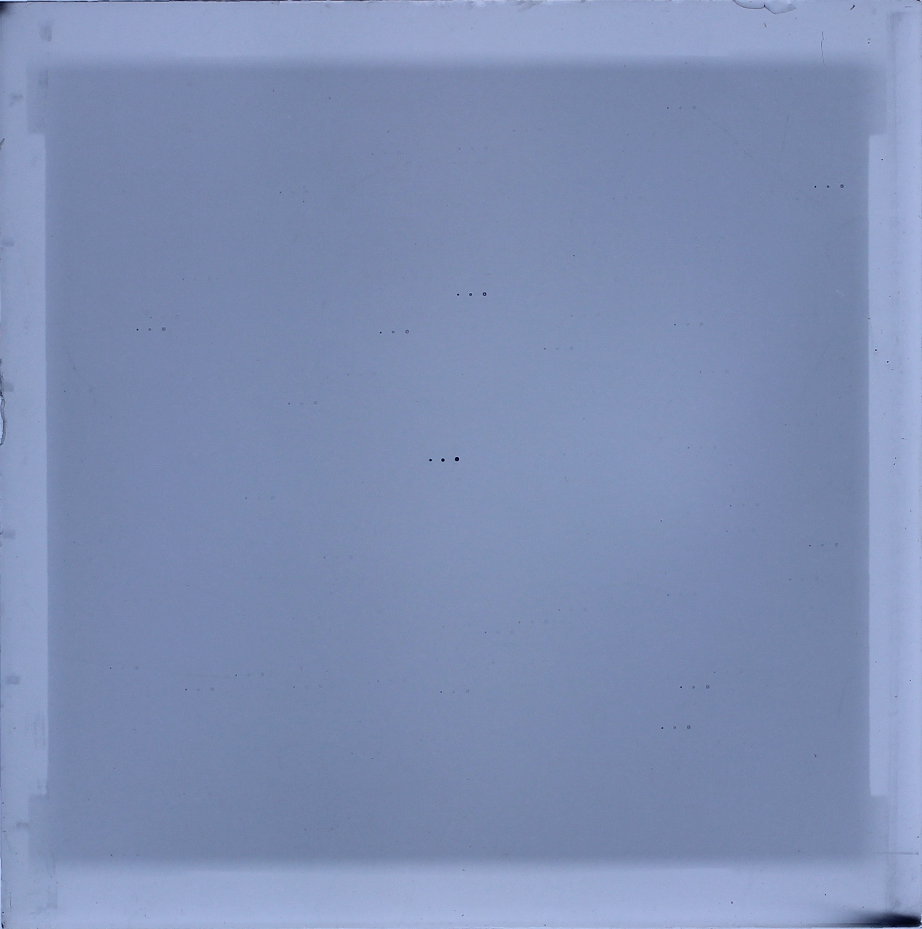 Plate preview