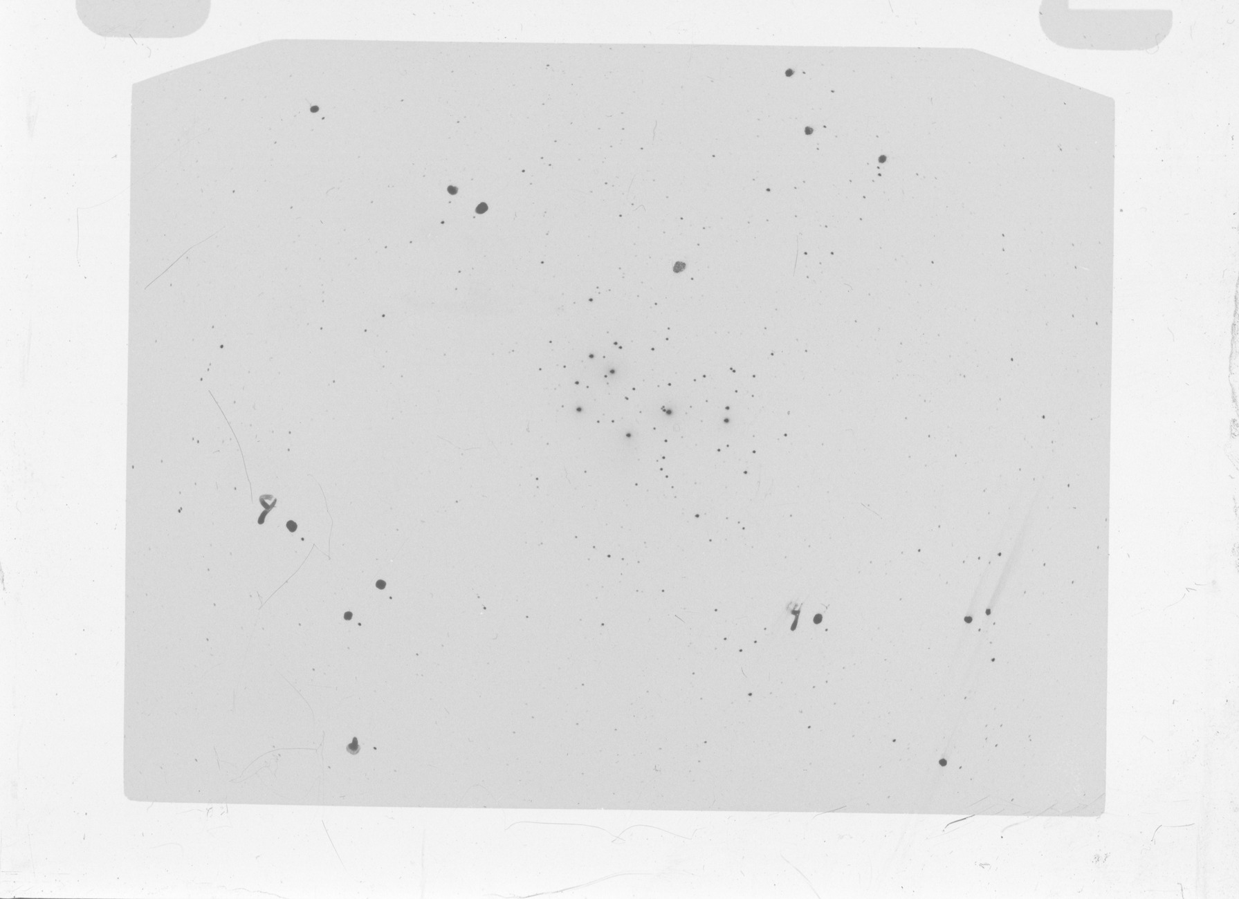 Plate preview