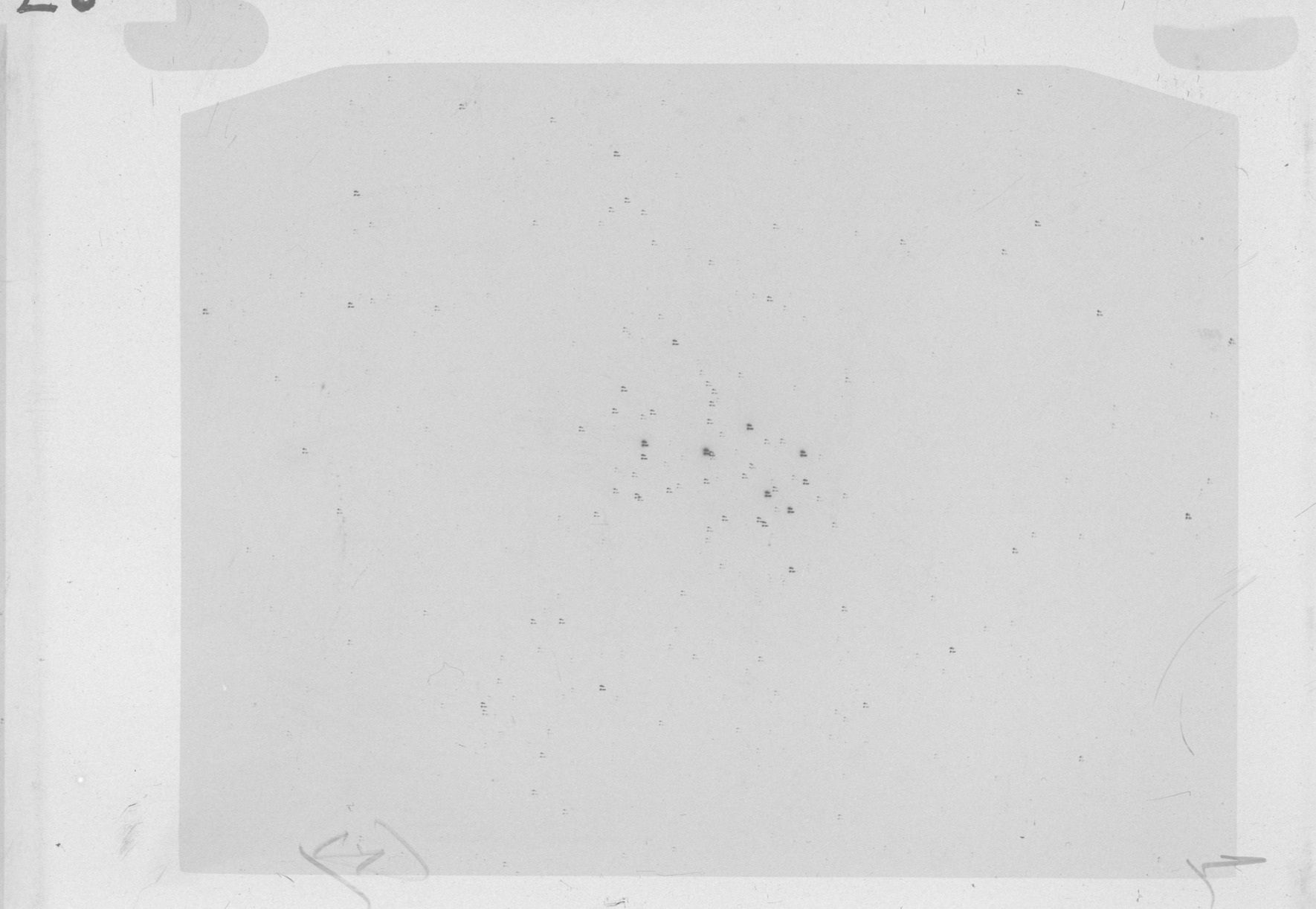 Plate preview