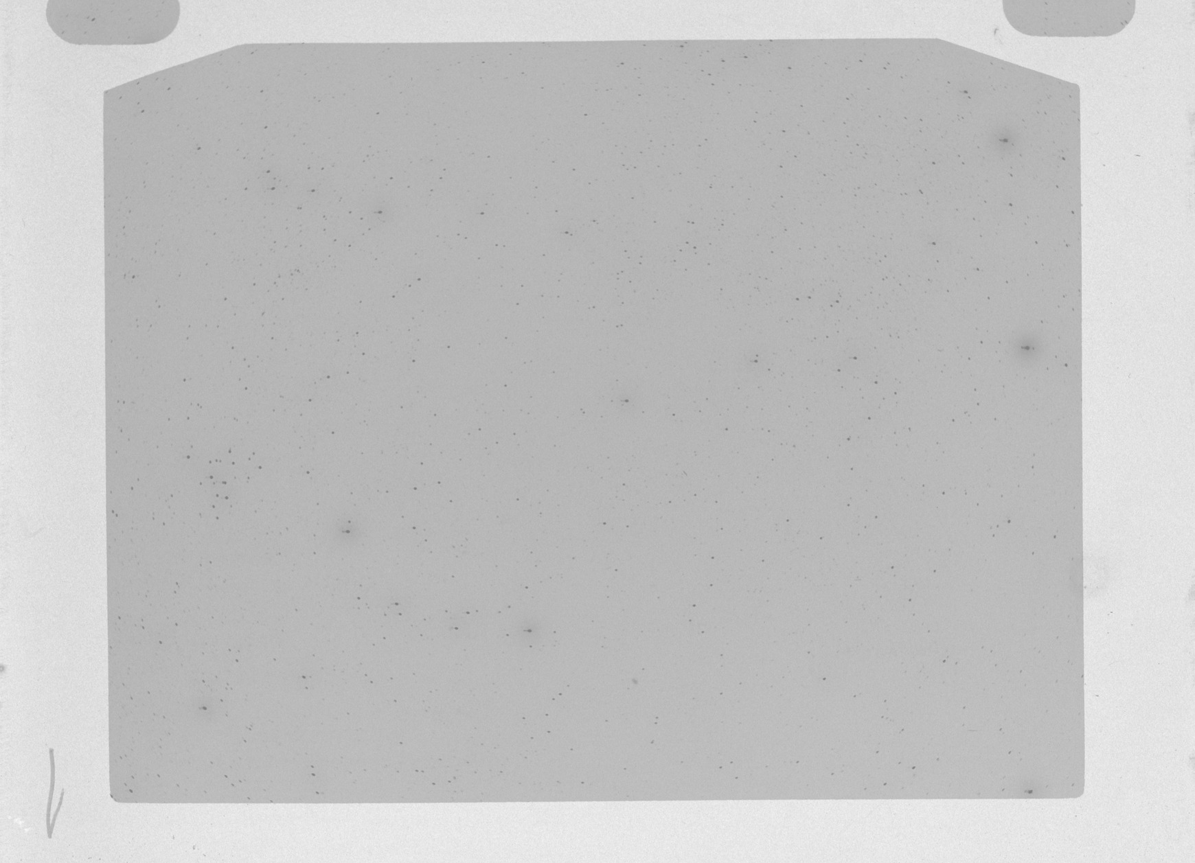 Plate preview