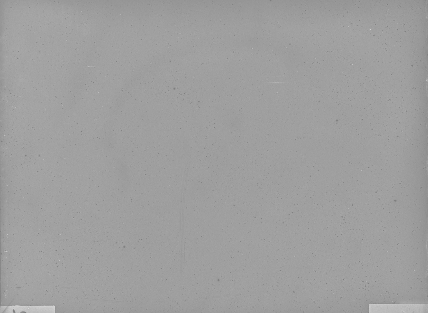 Plate preview