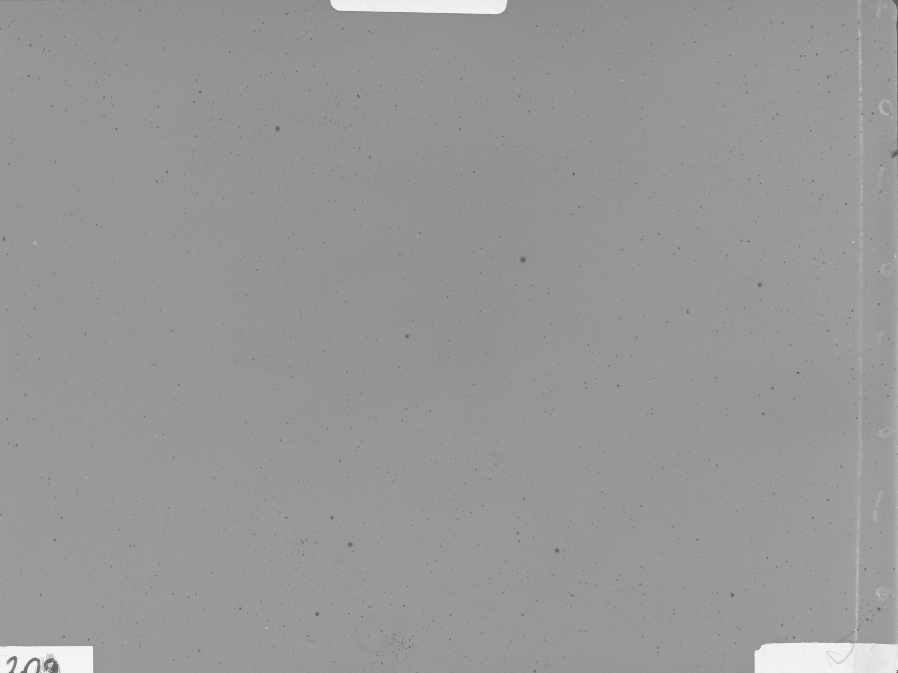 Plate preview