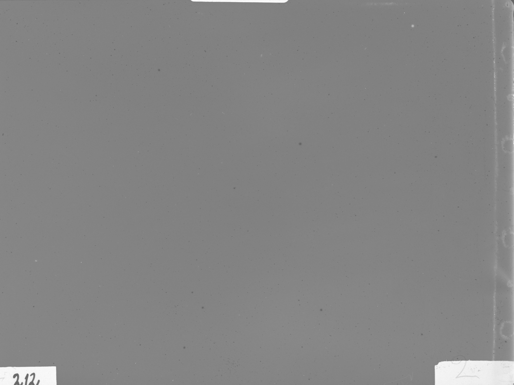 Plate preview