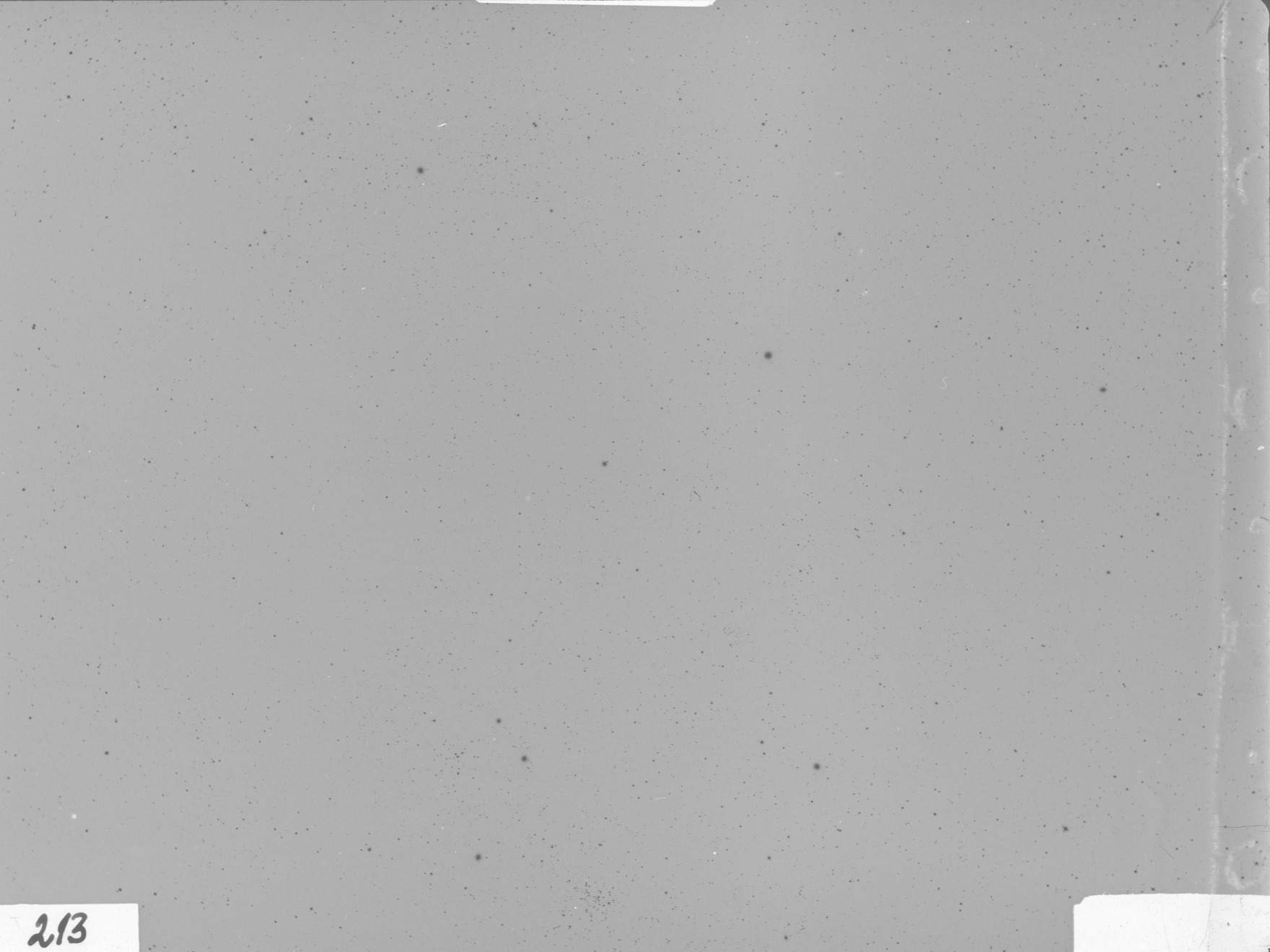 Plate preview