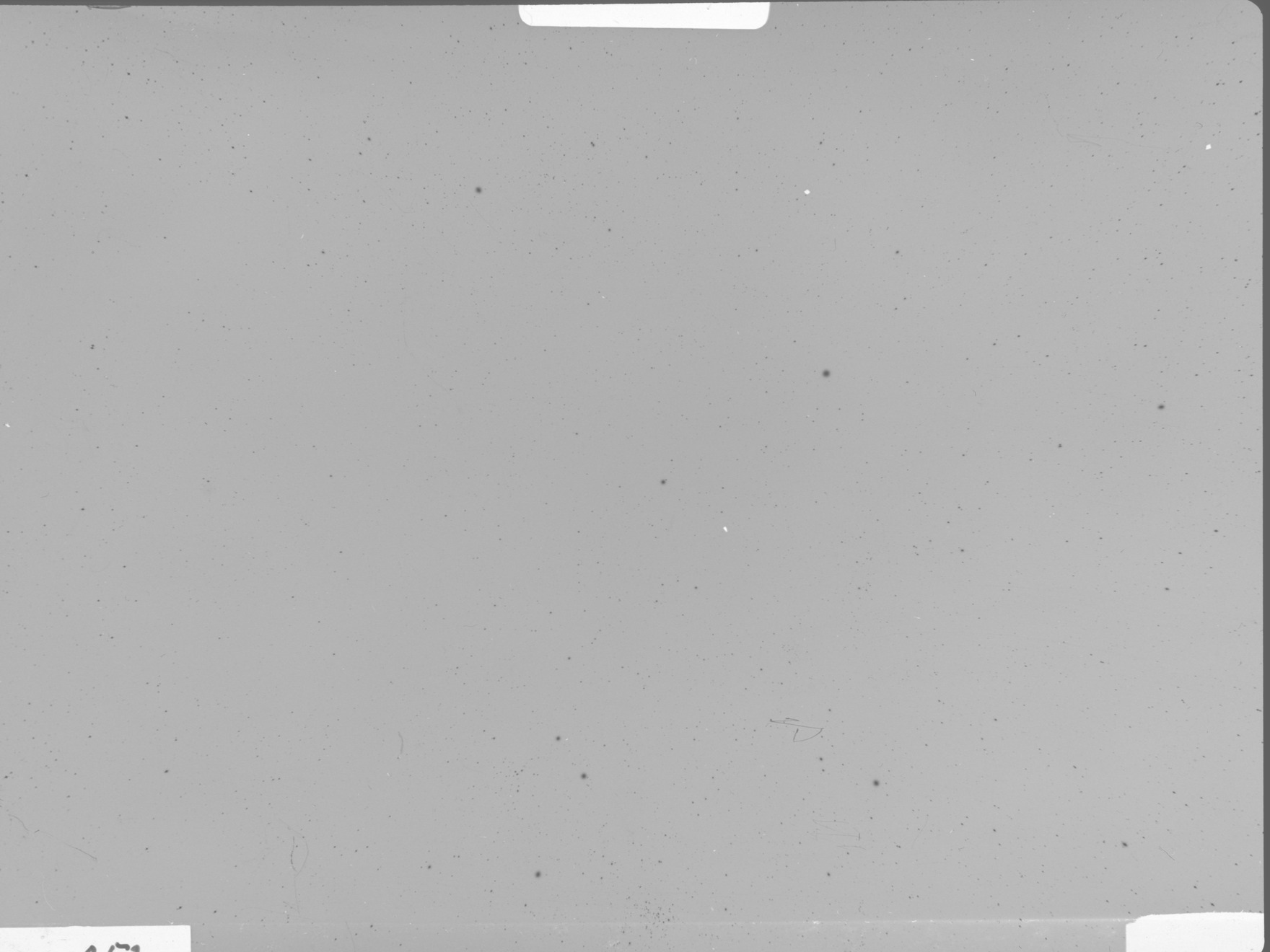 Plate preview