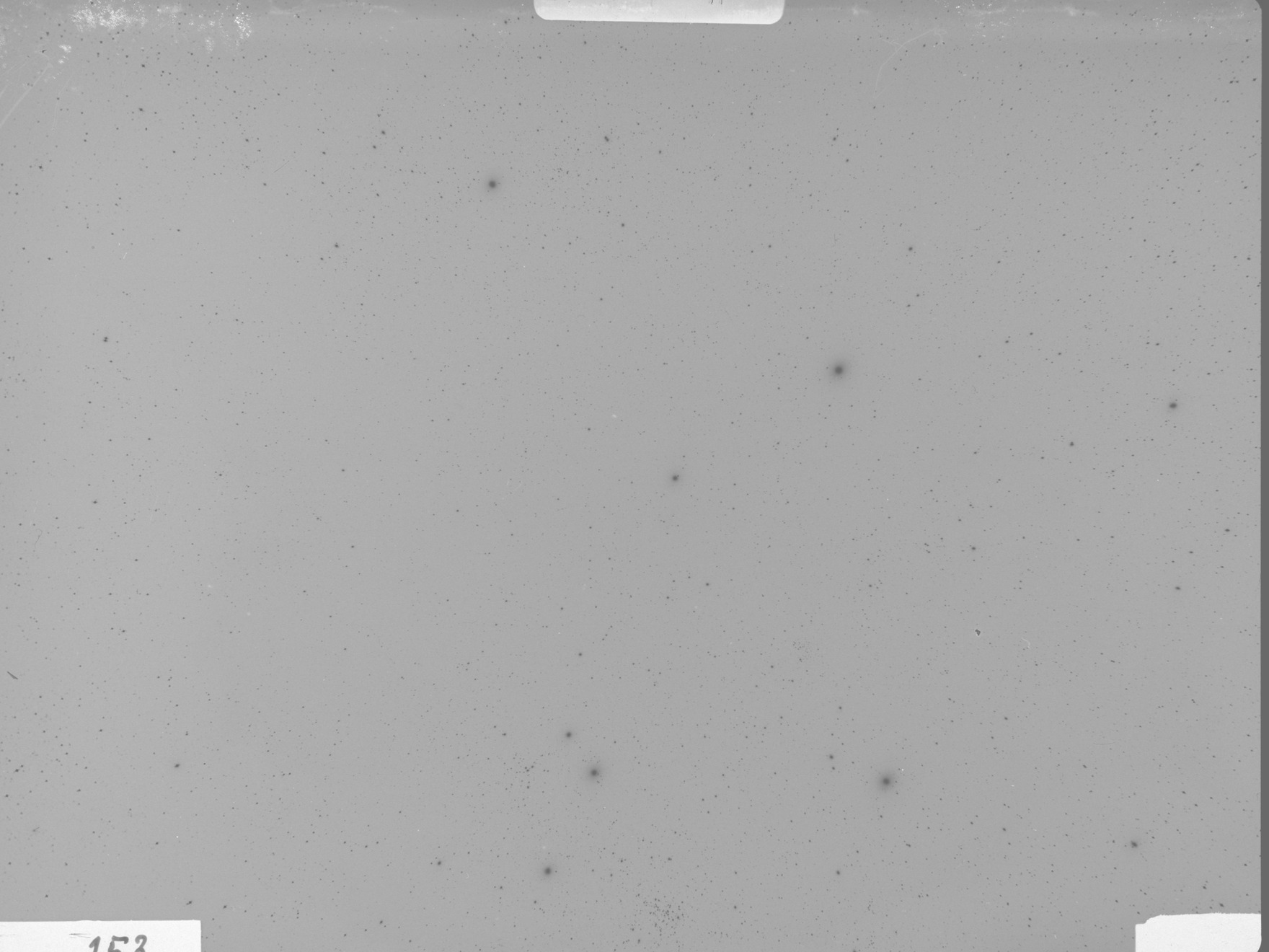 Plate preview