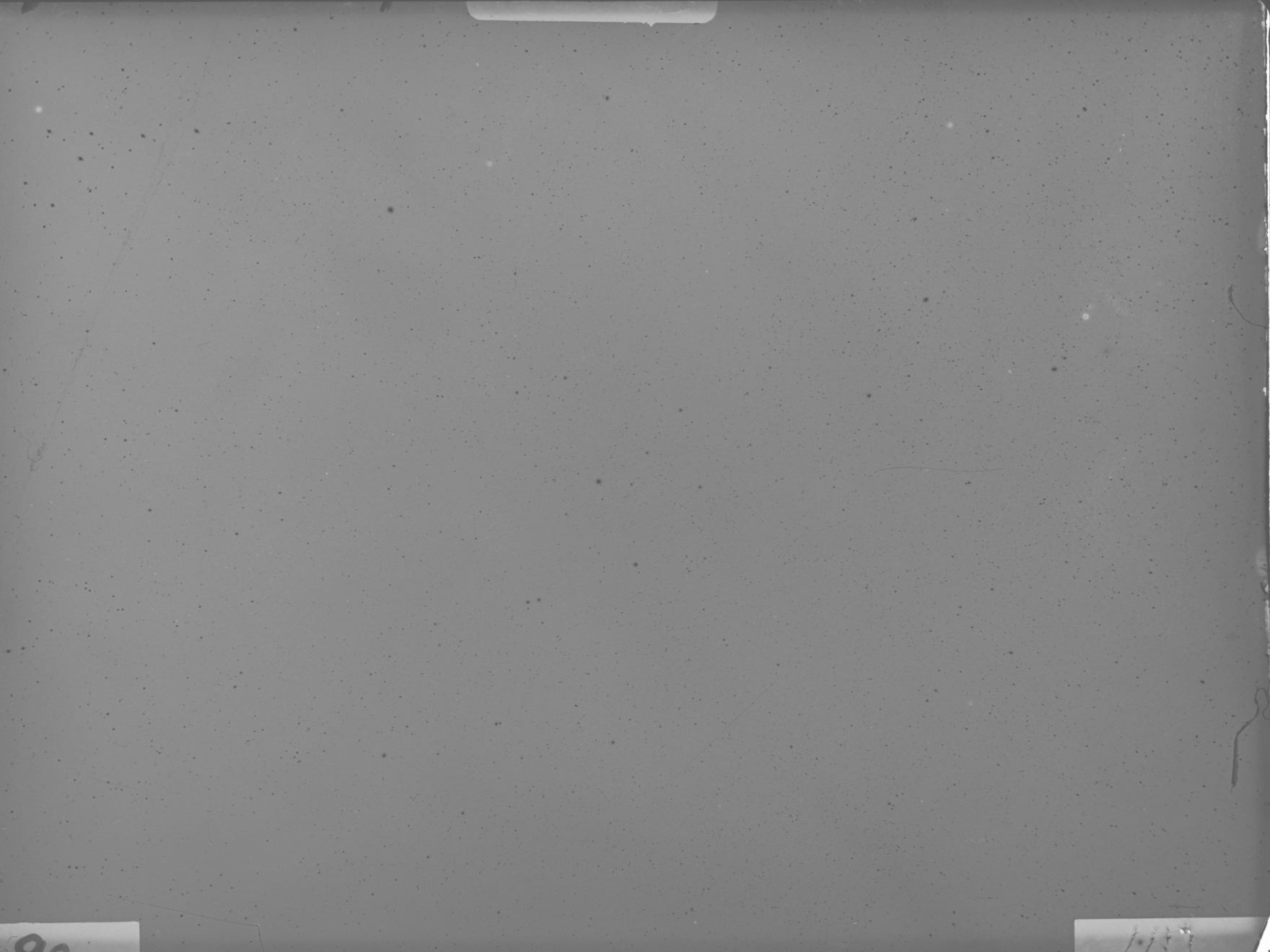 Plate preview