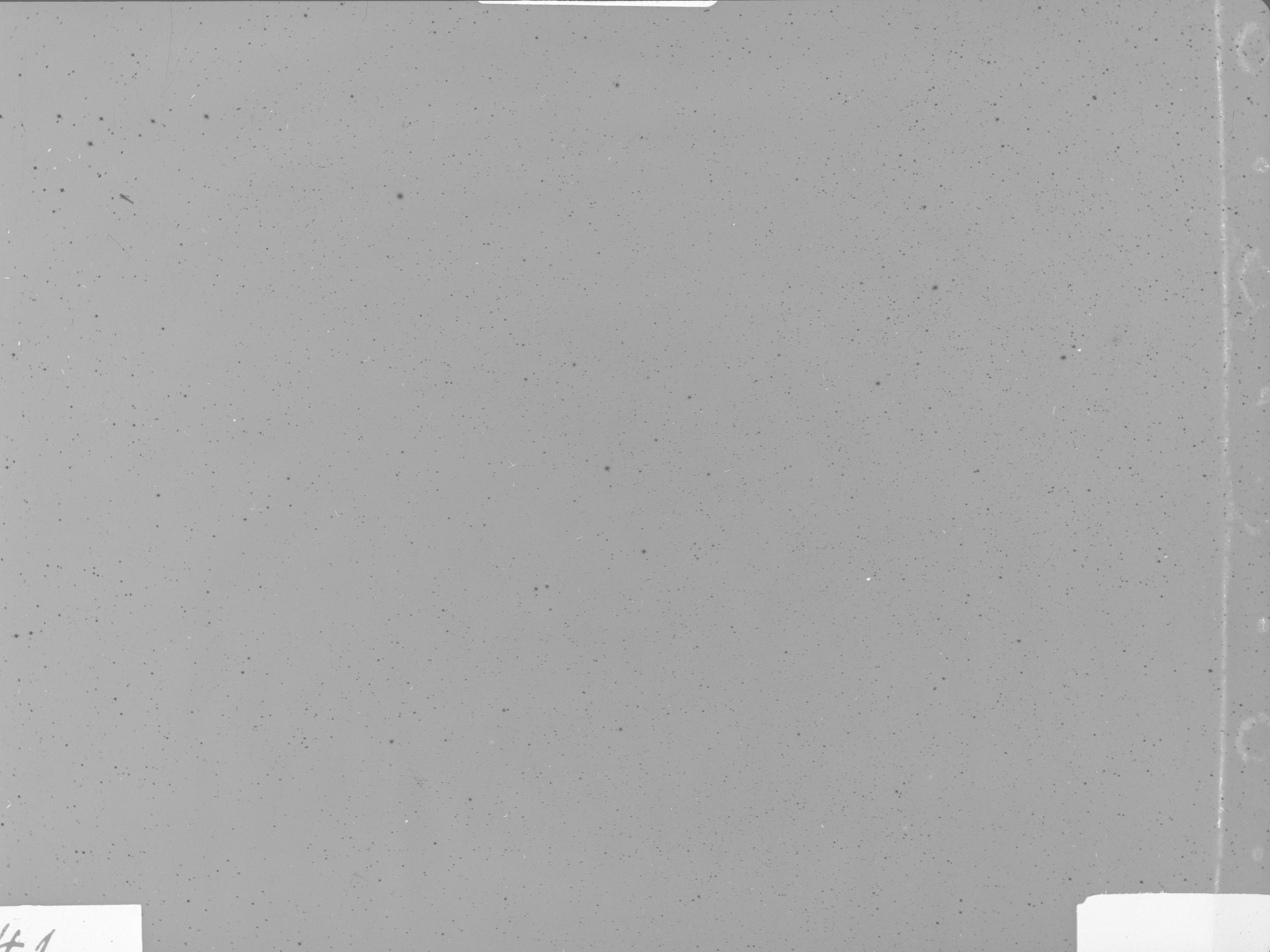 Plate preview