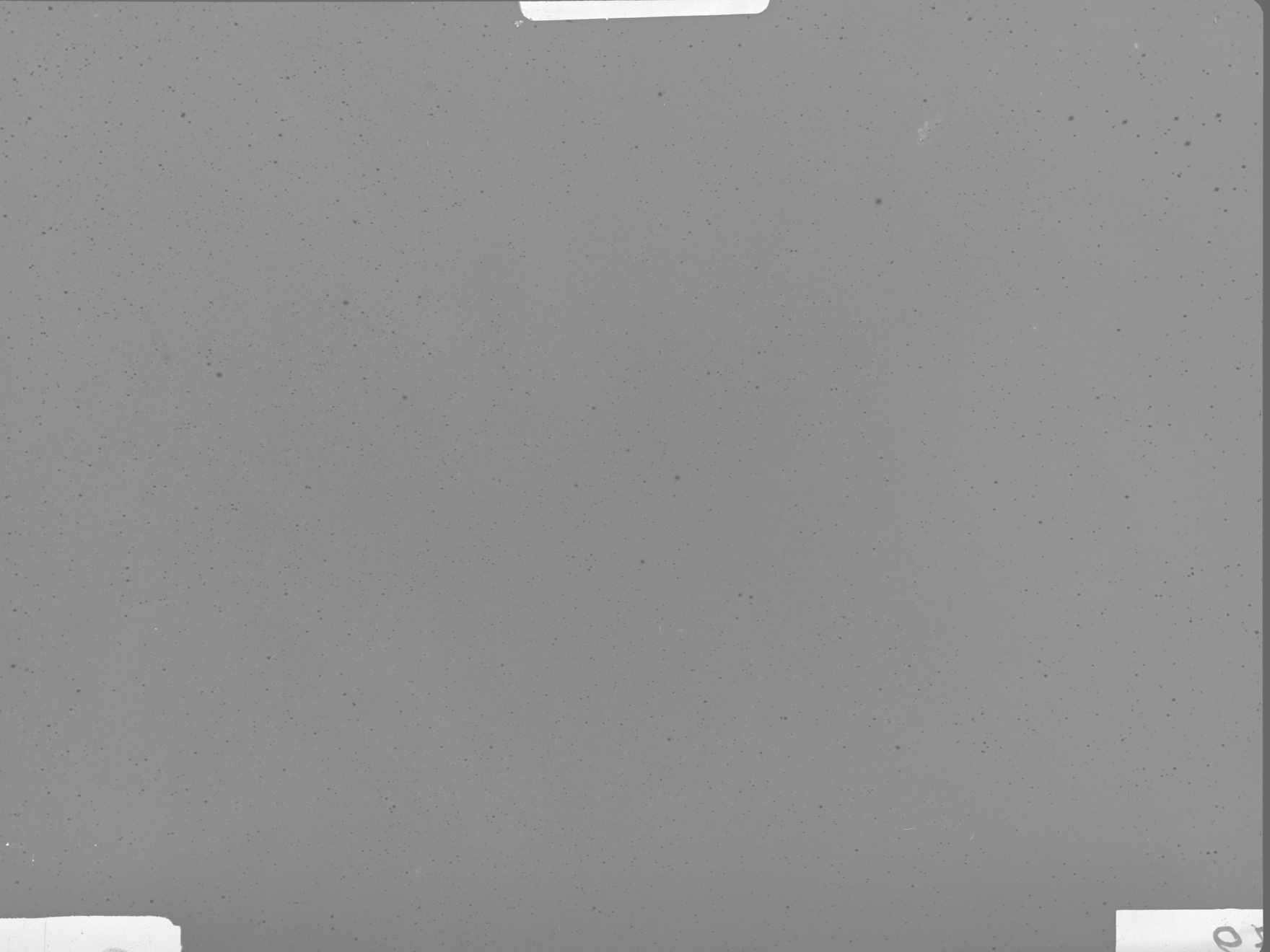 Plate preview