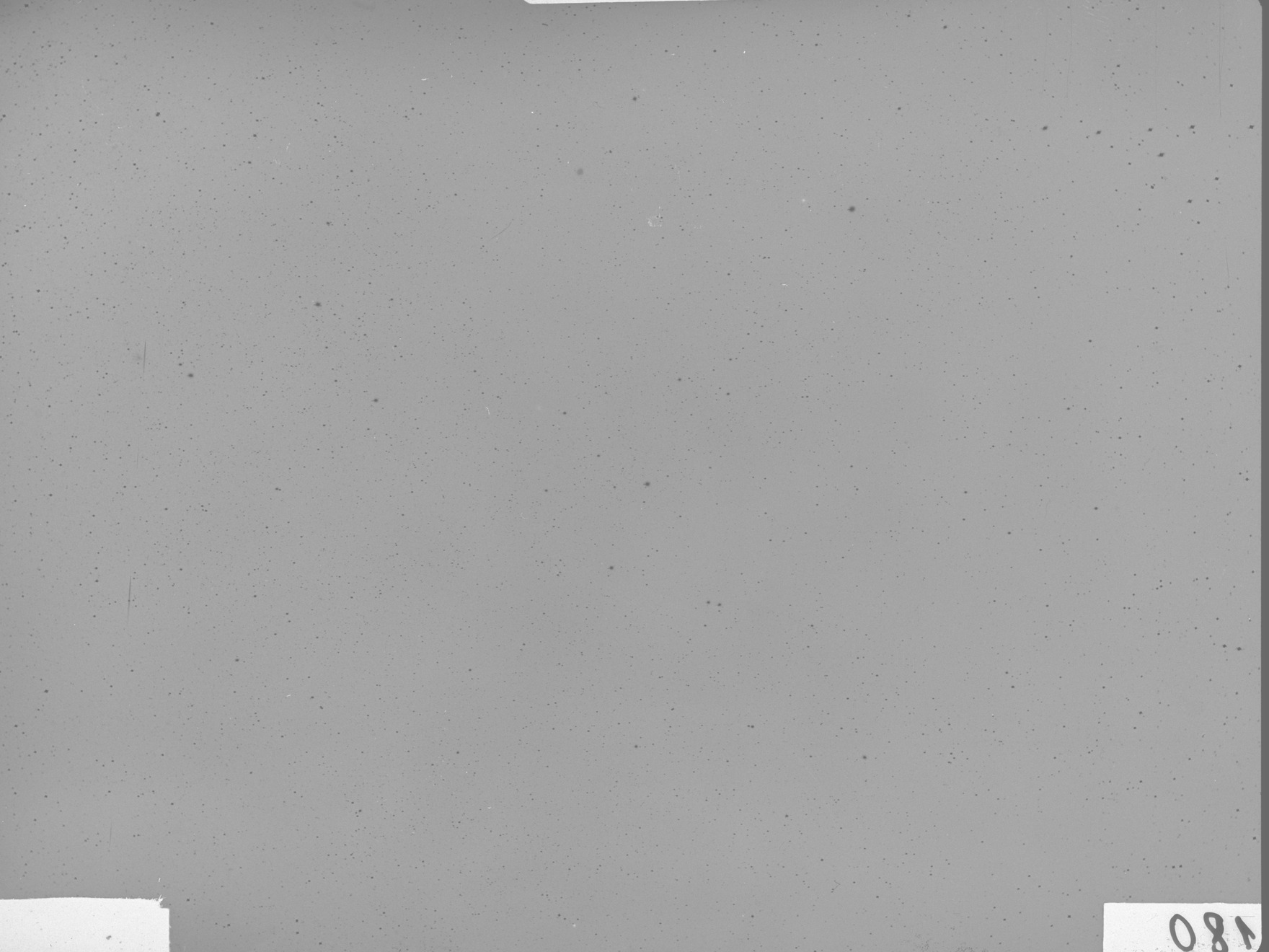 Plate preview