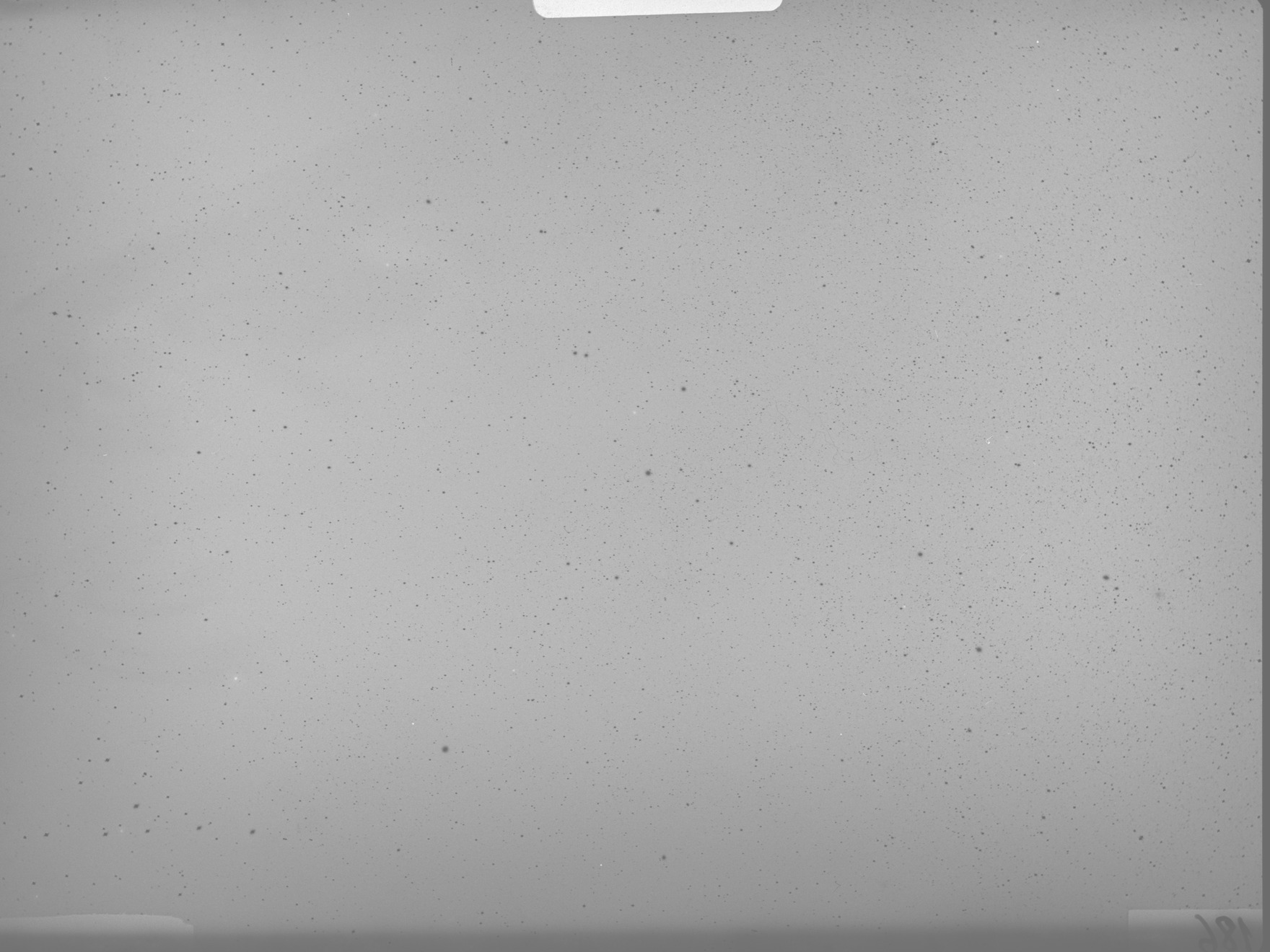 Plate preview