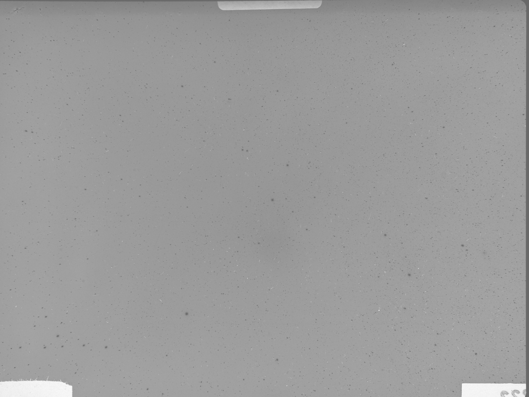 Plate preview