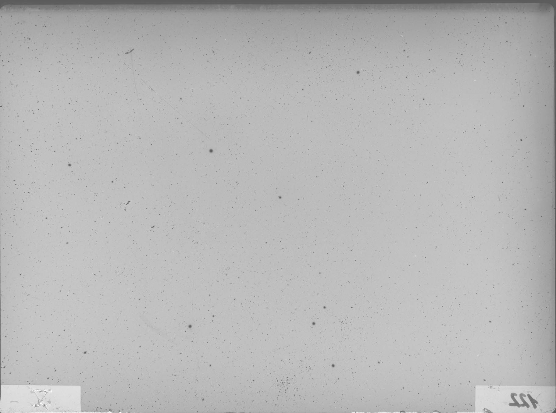 Plate preview