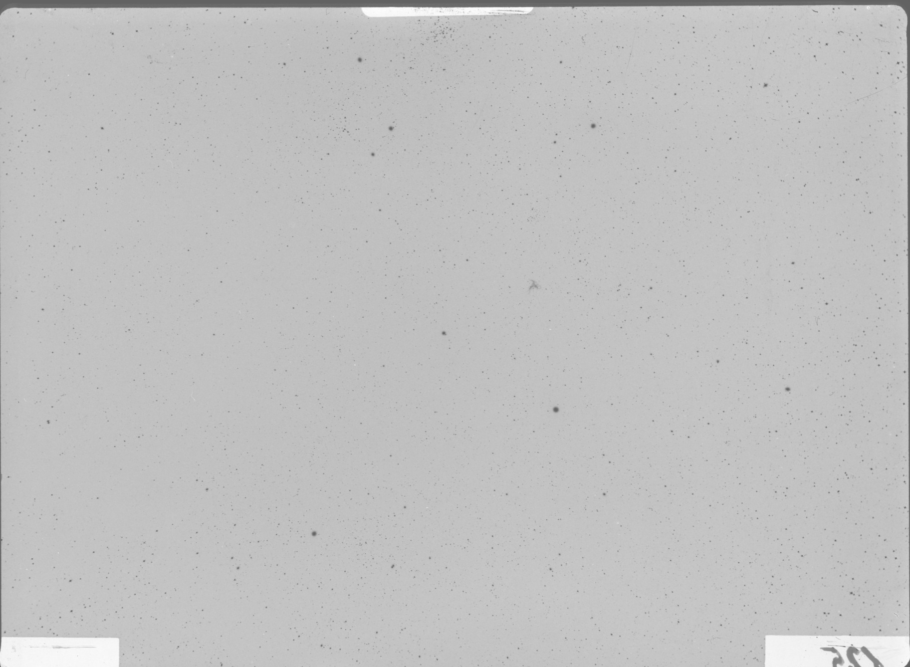 Plate preview